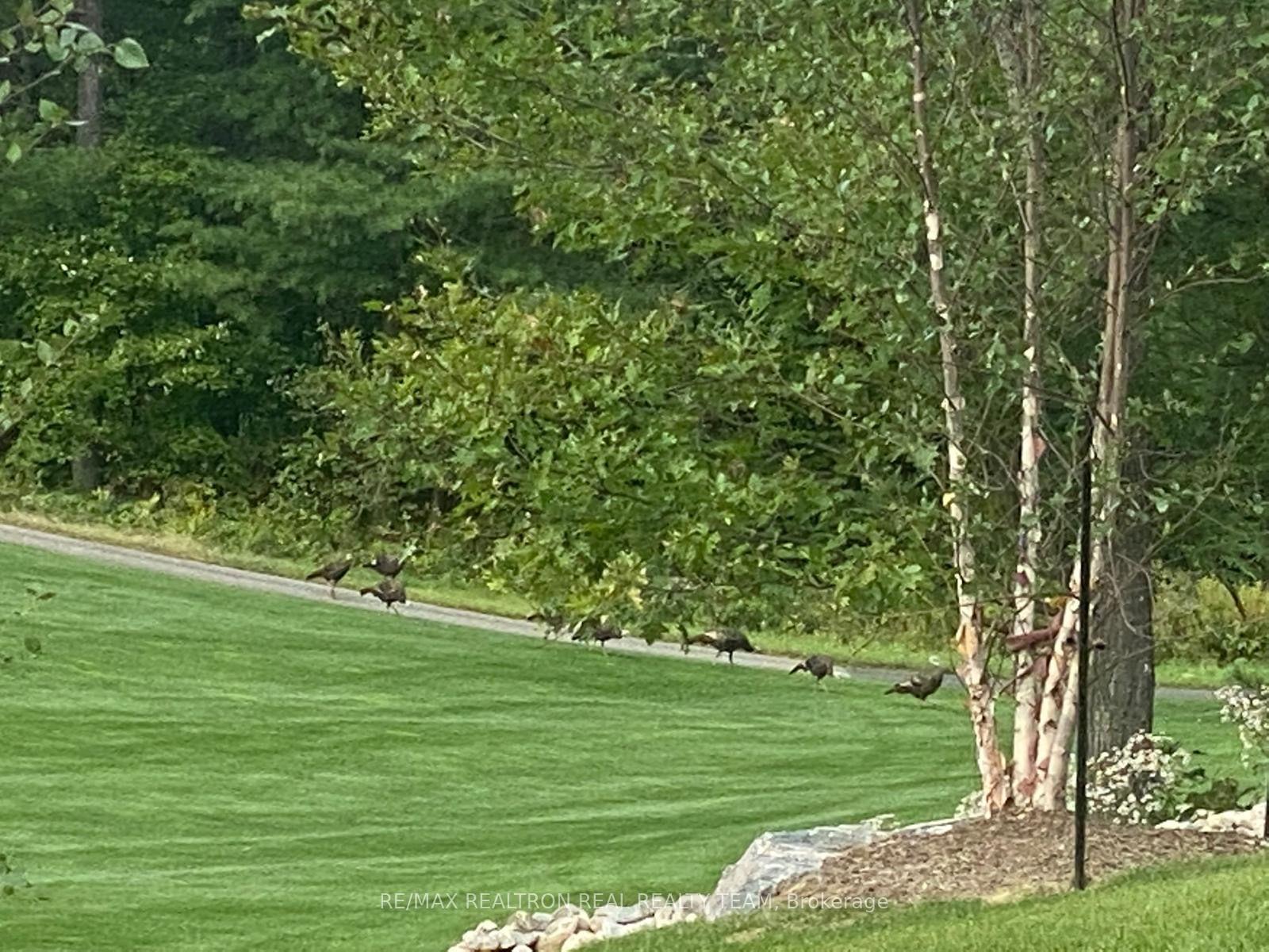 Photo 11 of Unit 302, 120 Carrick Trail, Gravenhurst, Muskoka (S) — HOMEH