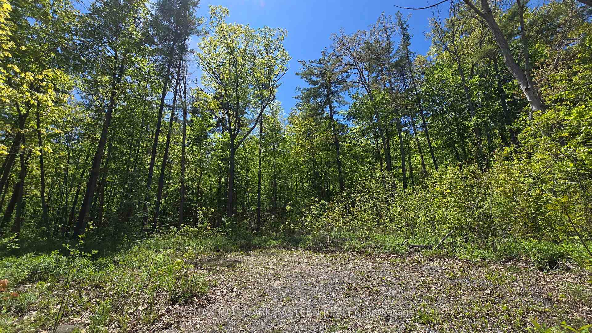 Photo 4 of County Road 30, Trent Hills, Rural Trent Hills — HOMEH