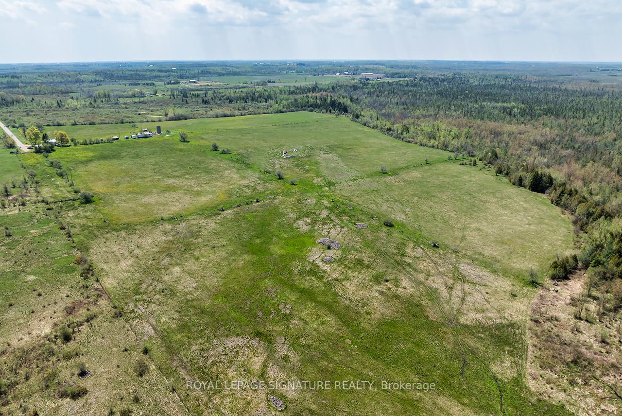 Photo 45 of 1007 Moor Road, Kawartha Lakes, Eldon — HOMEH