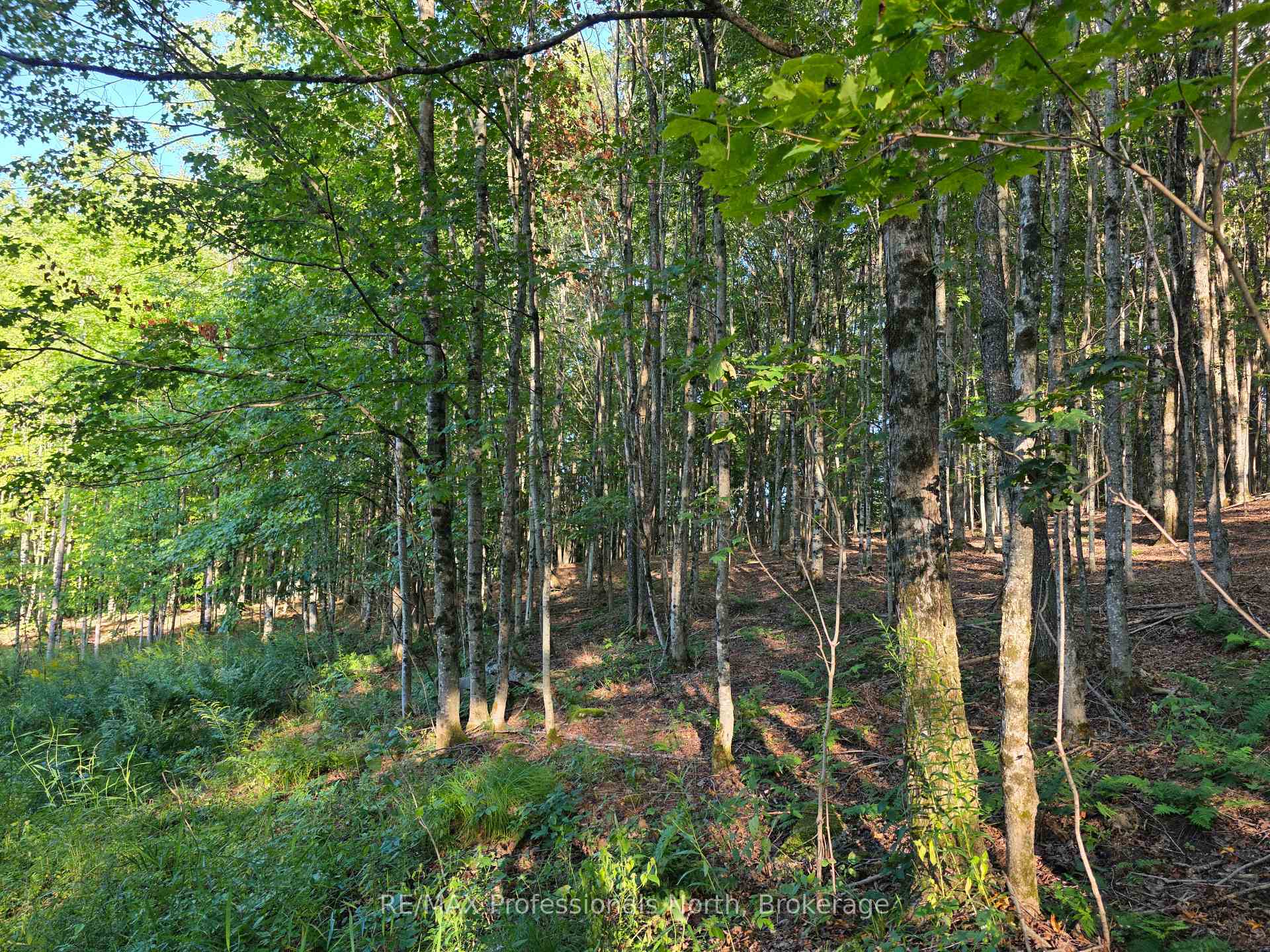 Photo 3 of 1026 Puffer Road, Minden Hills, Minden — HOMEH