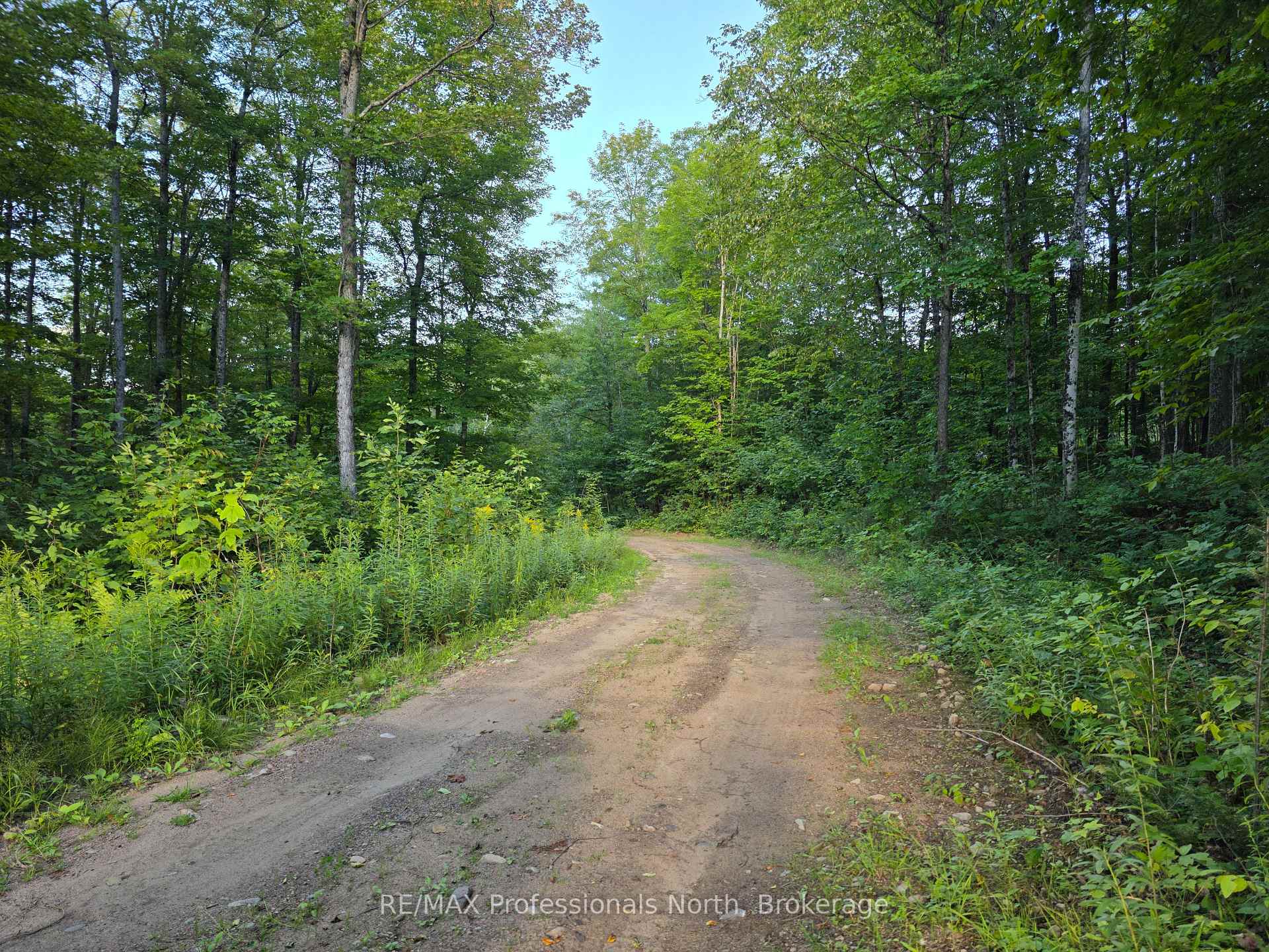 Photo 6 of 1026 Puffer Road, Minden Hills, Minden — HOMEH