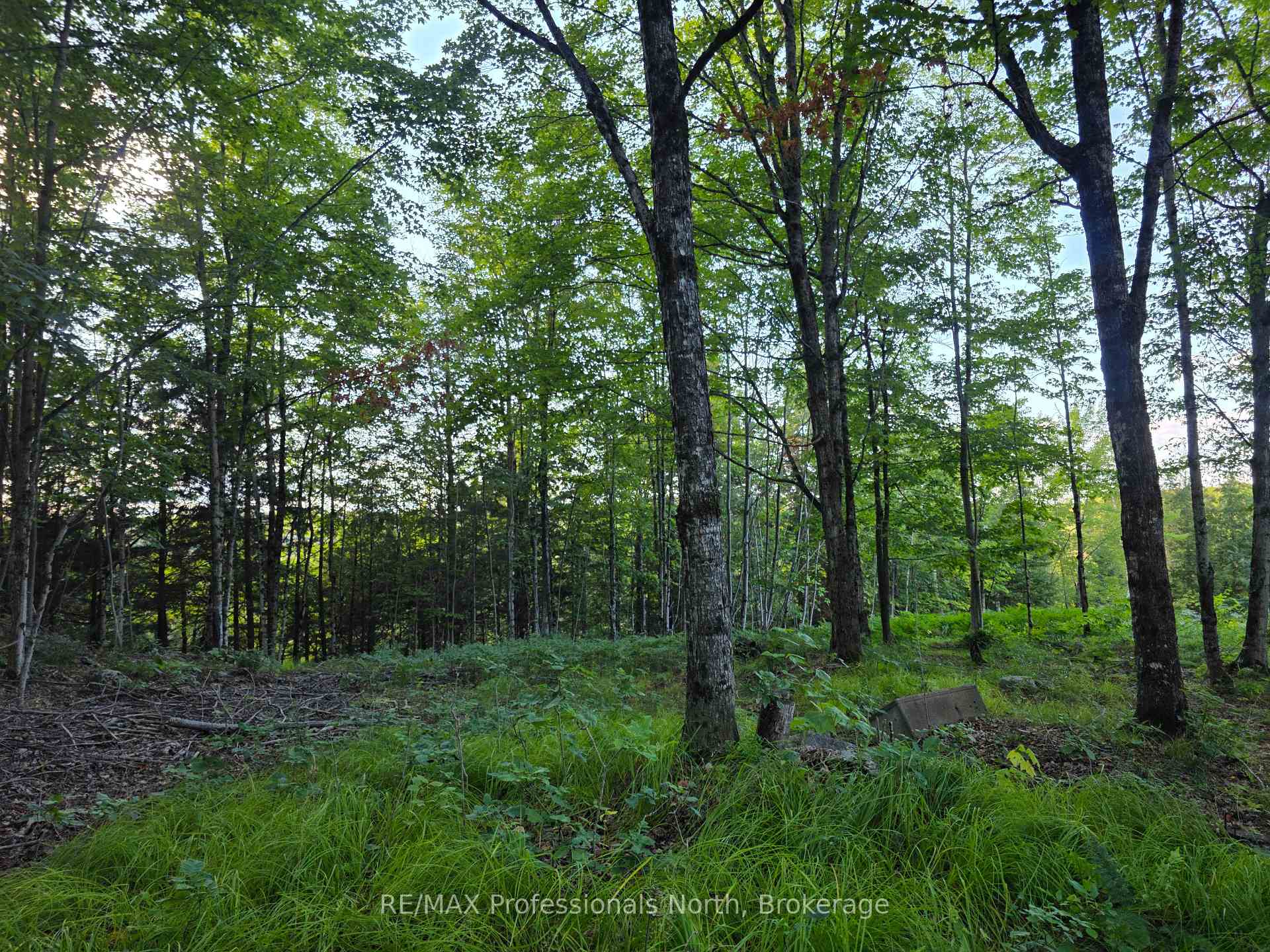 Photo 11 of 1026 Puffer Road, Minden Hills, Minden — HOMEH