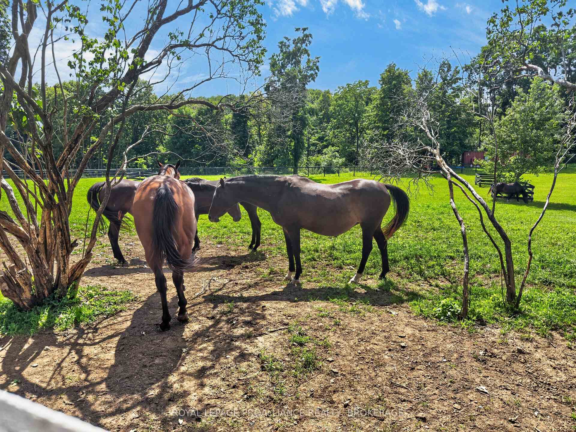Photo 38 of 1103 County Road 2, Elizabethtown-Kitley, Elizabethtown Kitley (Old Kitley) Twp — HOMEH