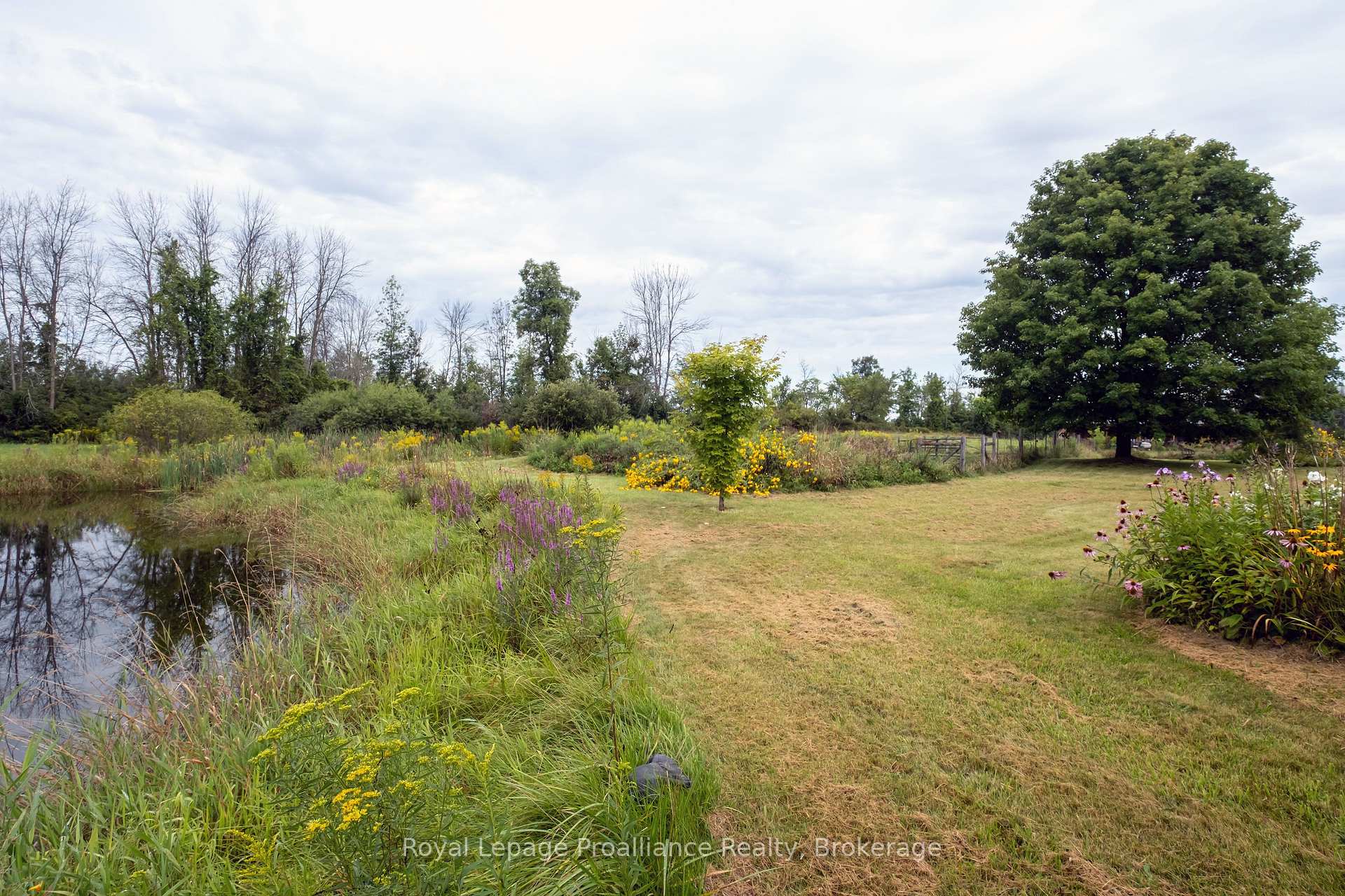 Photo 23 of 77 Anson Road, Stirling-Rawdon, Rawdon Ward — HOMEH