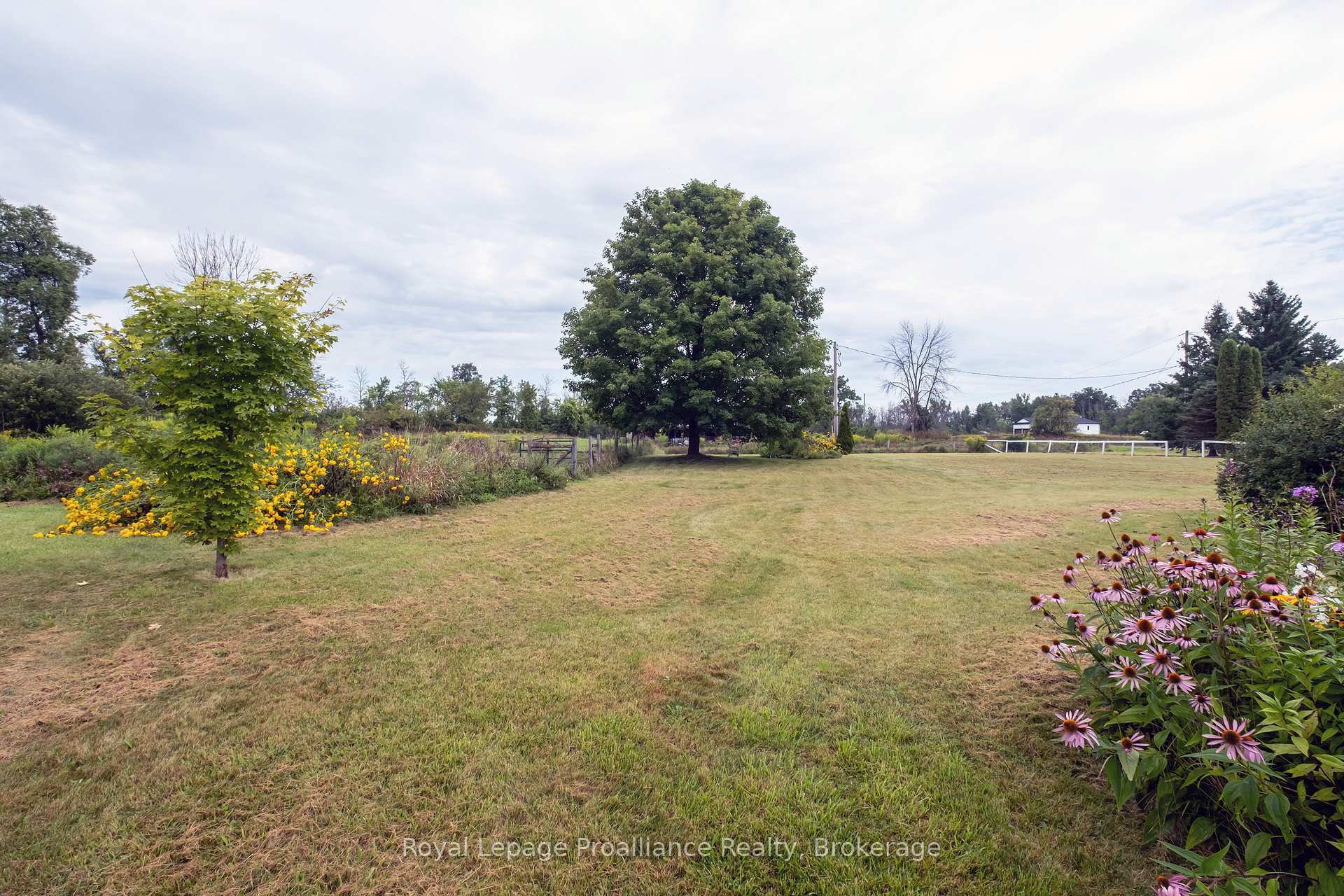 Photo 24 of 77 Anson Road, Stirling-Rawdon, Rawdon Ward — HOMEH