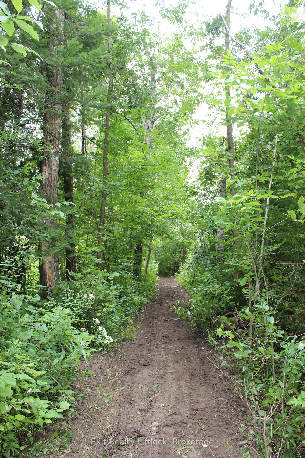 Photo 5 of Fife's Bay Road, Selwyn — HOMEH