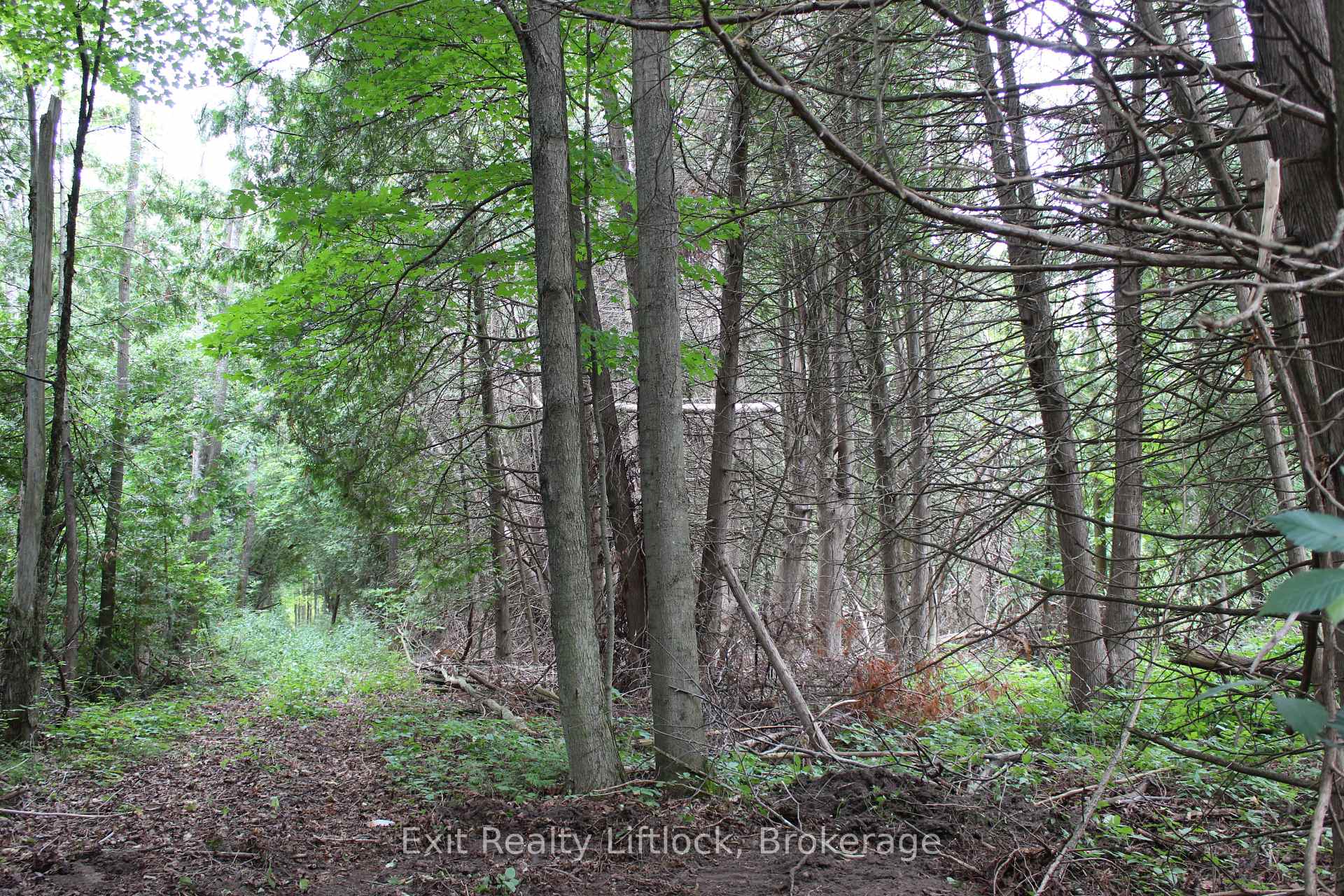 Photo 6 of Fife's Bay Road, Selwyn — HOMEH