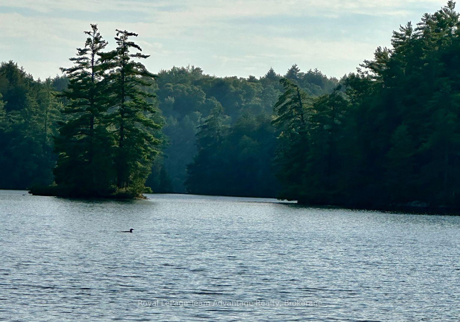 Photo 7 of 94 Crane Lake W/a, The Archipelago, Archipelago South — HOMEH