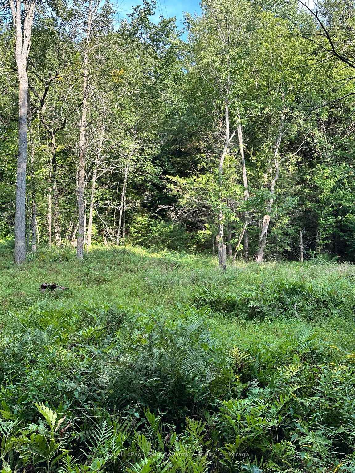 Photo 13 of 94 Crane Lake W/a, The Archipelago, Archipelago South — HOMEH