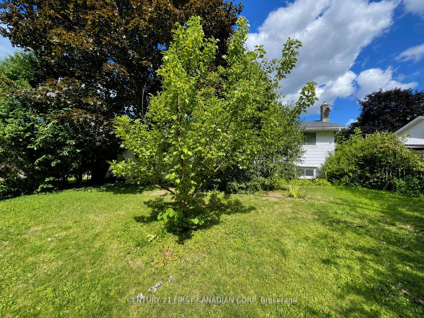 Photo 28 of 1341 Aldersbrook Road, London, North I — HOMEH