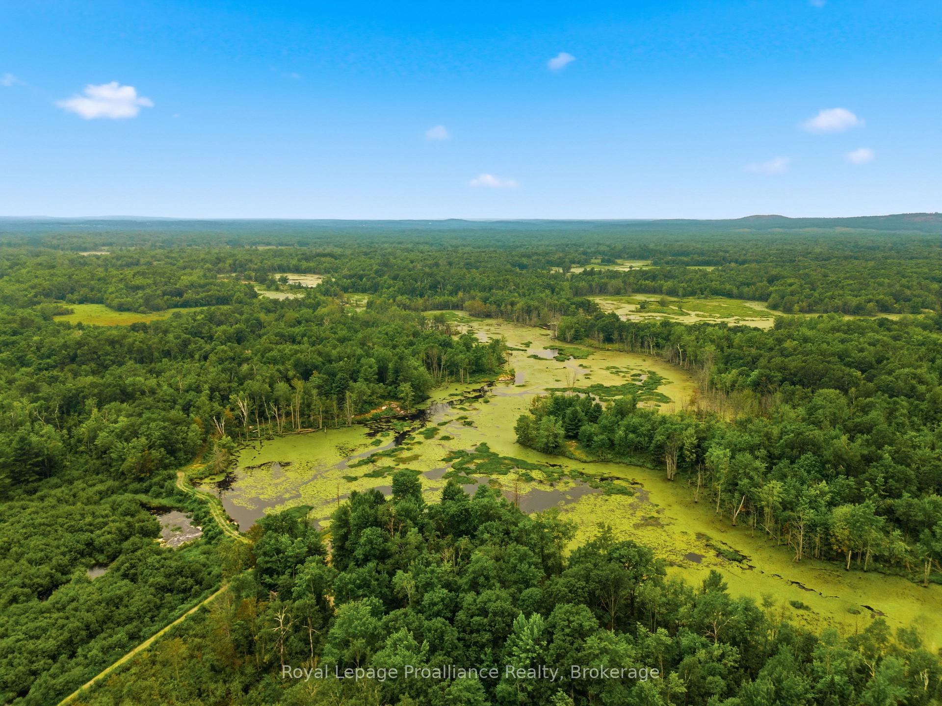 Photo 49 of 1519 Rockies Road, Tweed, Elzevir (Twp) — HOMEH
