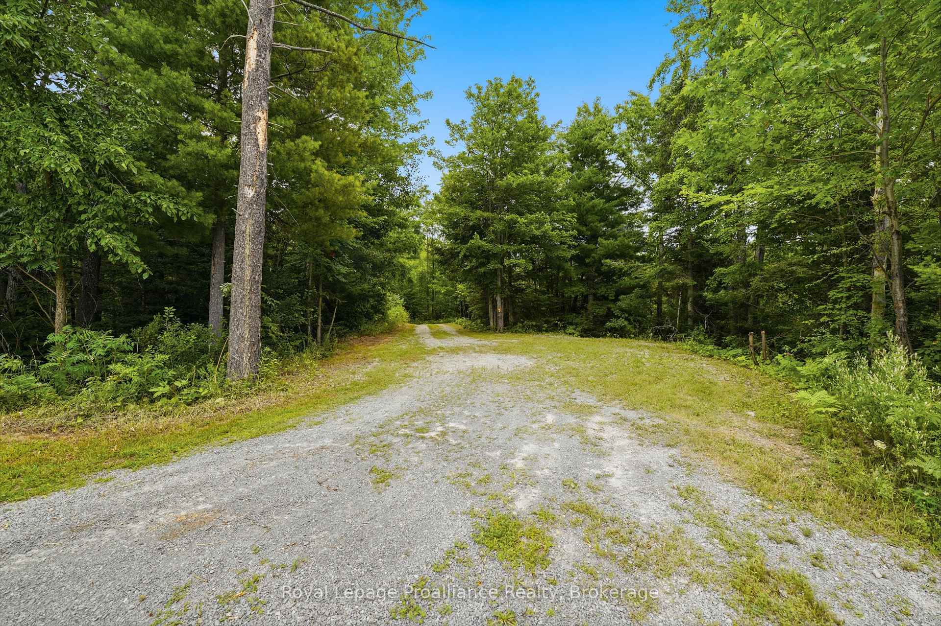 Photo 50 of 1519 Rockies Road, Tweed, Elzevir (Twp) — HOMEH