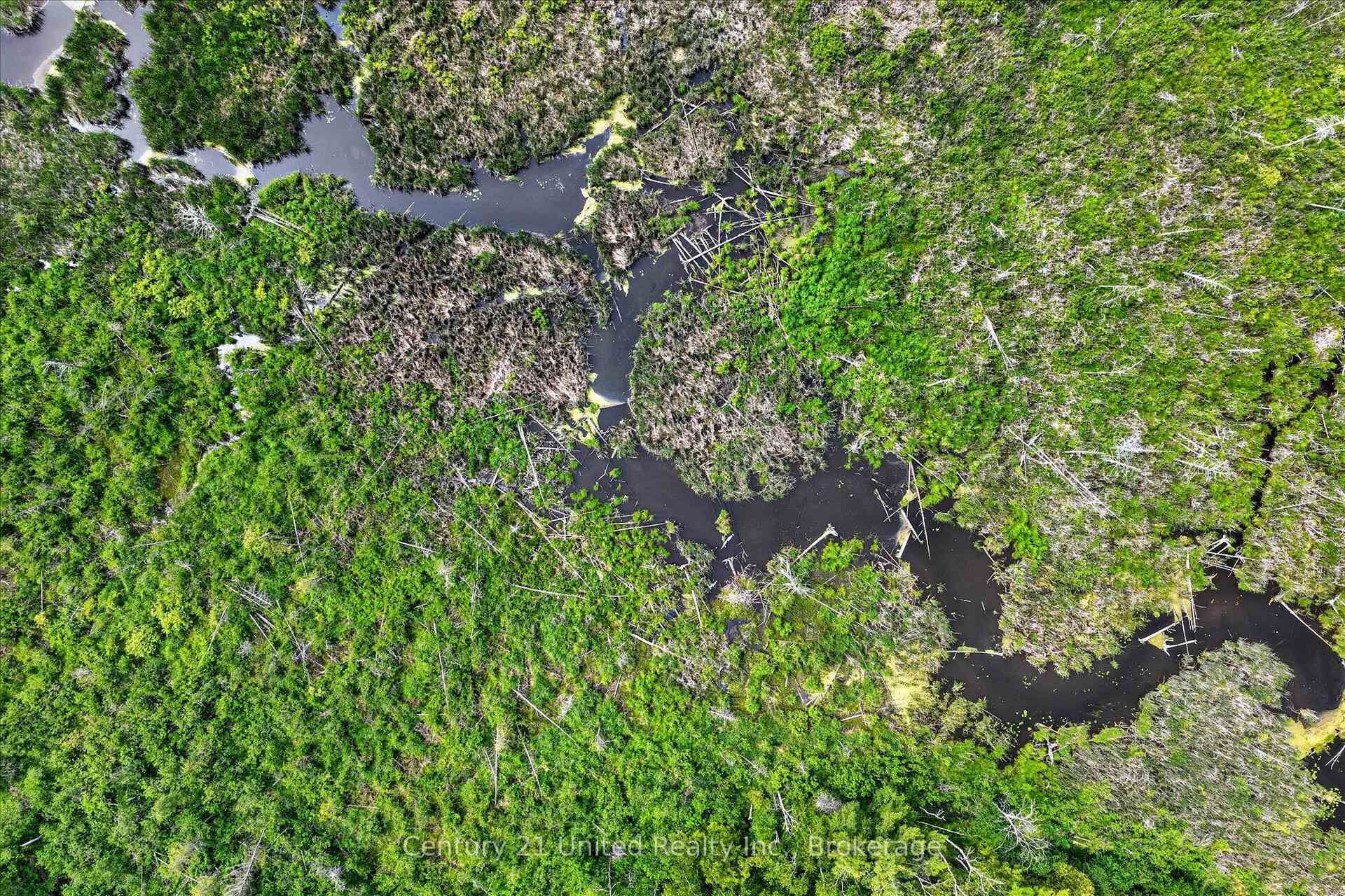 Photo 4 of 93 Loop Line, Kawartha Lakes, Emily — HOMEH