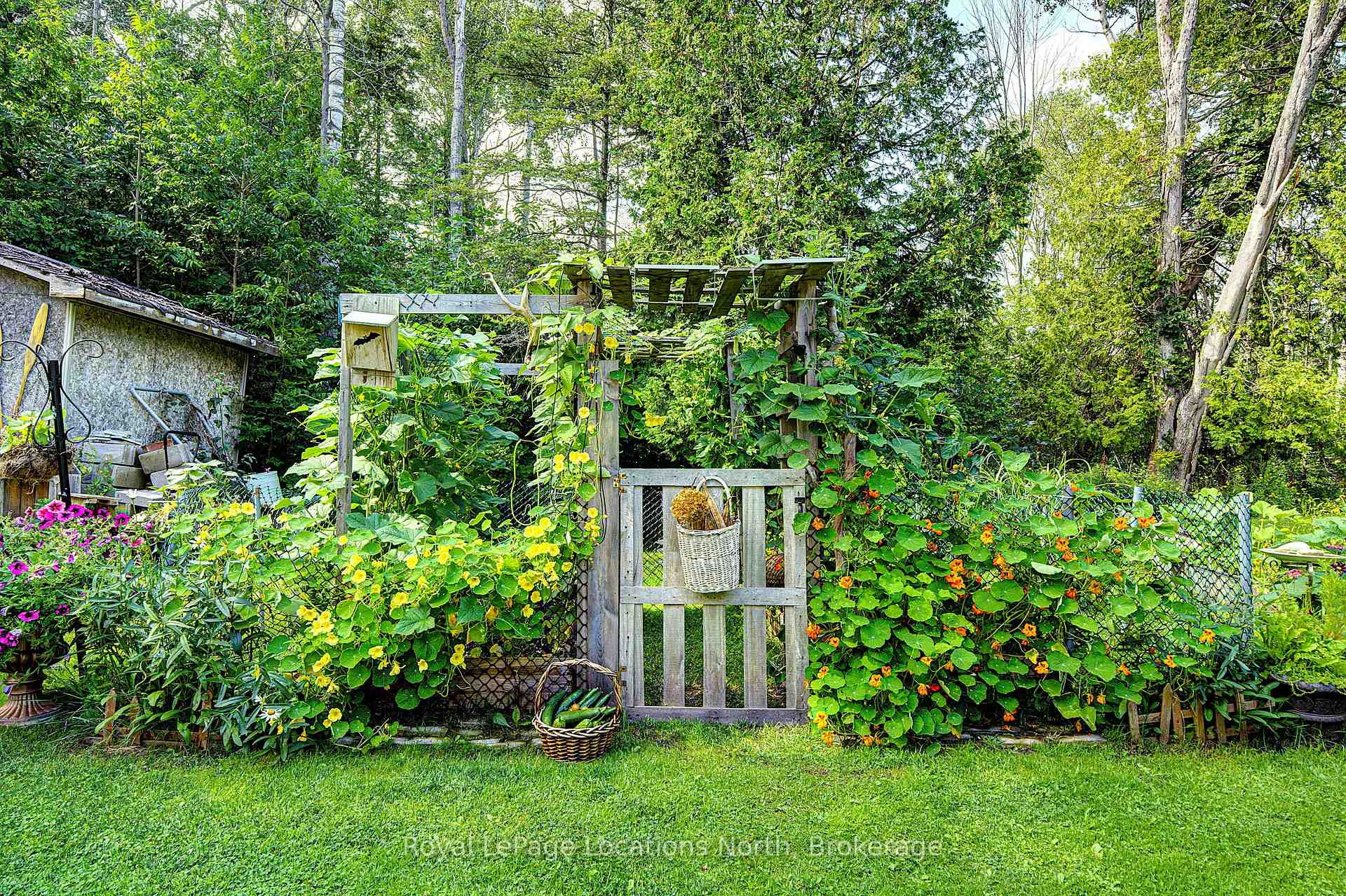 Photo 32 of 22 Balsam Street, Tiny, Rural Tiny — HOMEH