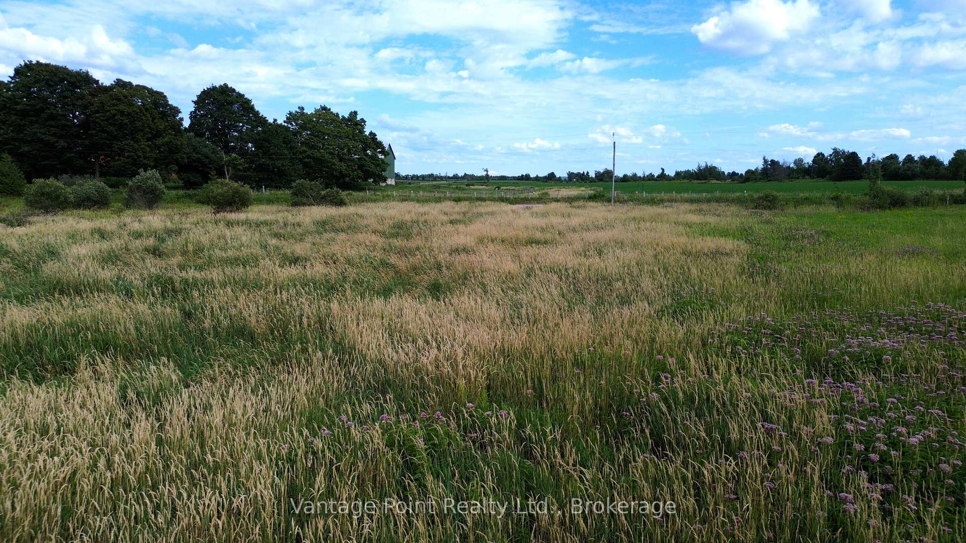 Photo 9 of 240213 Southgate 24 Road, Southgate — HOMEH
