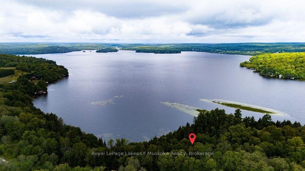 Photo 55 of 215 Sandwood Drive, Ryerson — HOMEH