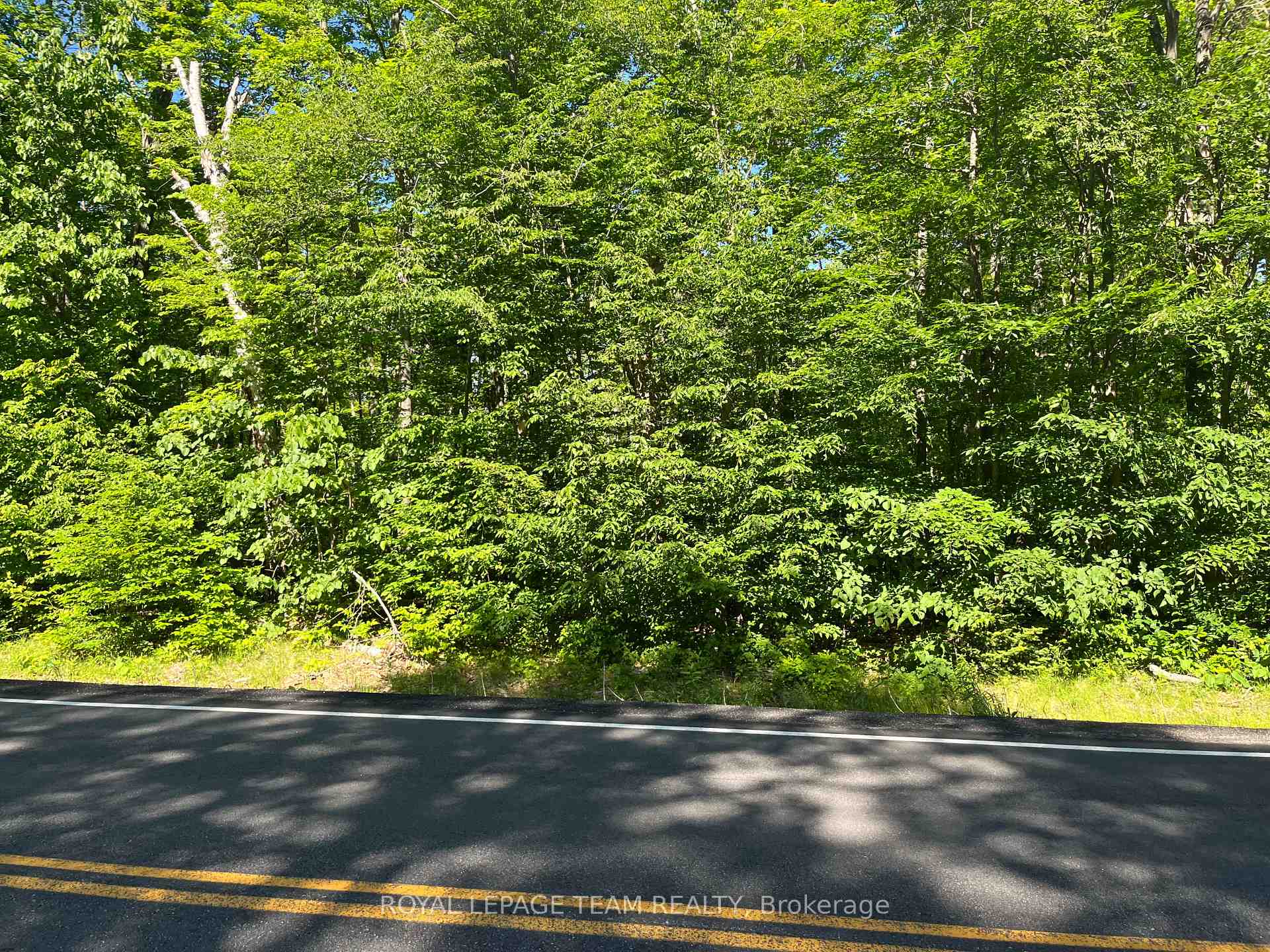 Photo 2 of 01 Siberia Road, Madawaska Valley, Madawaska Valley — HOMEH