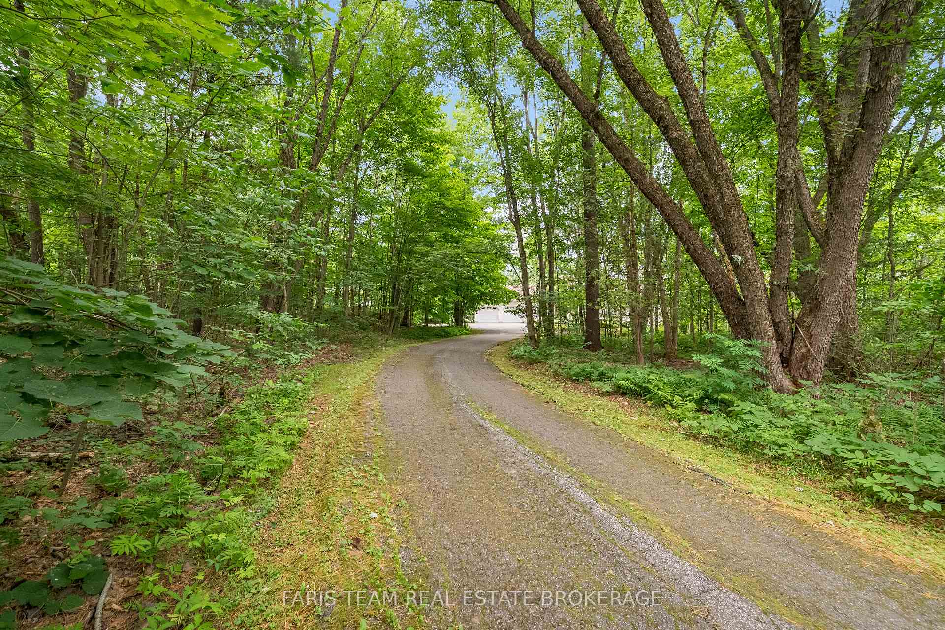 Photo 3 of 1037 Rockcastle Road, Gravenhurst, Morrison — HOMEH