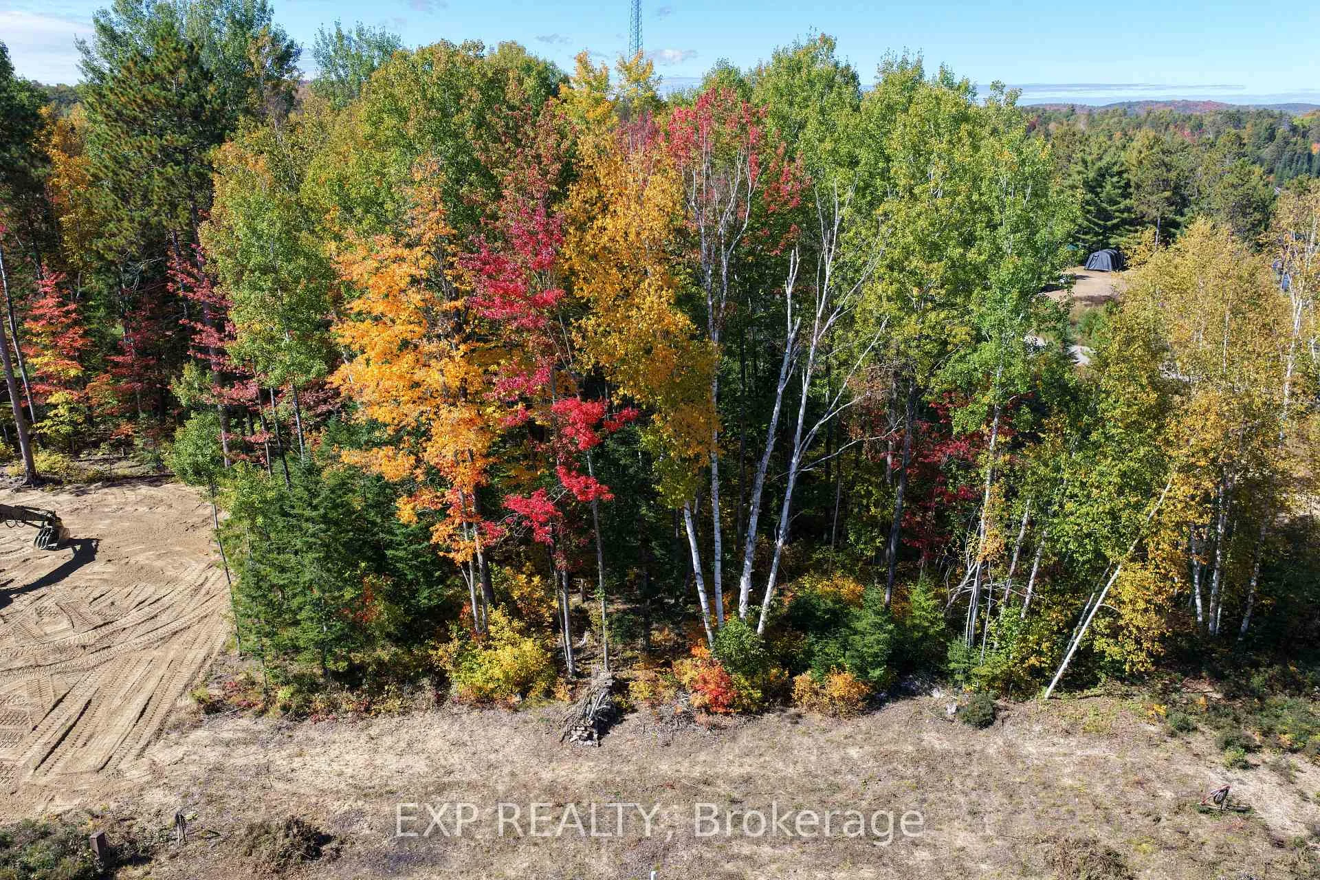 Photo 5 of Lot 14 Birchview Drive, Madawaska Valley, Madawaska Valley — HOMEH
