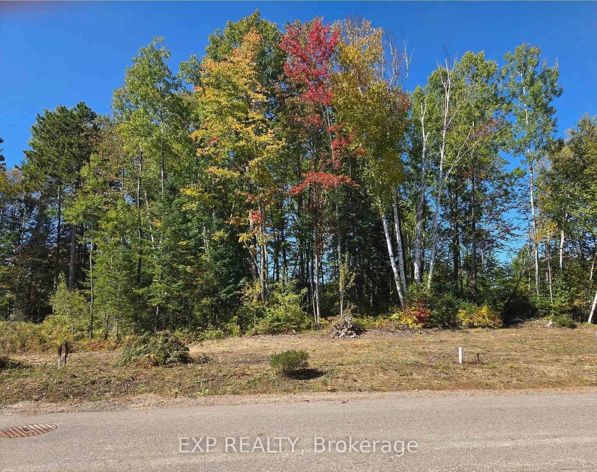 Photo of Lot 14 Birchview Drive