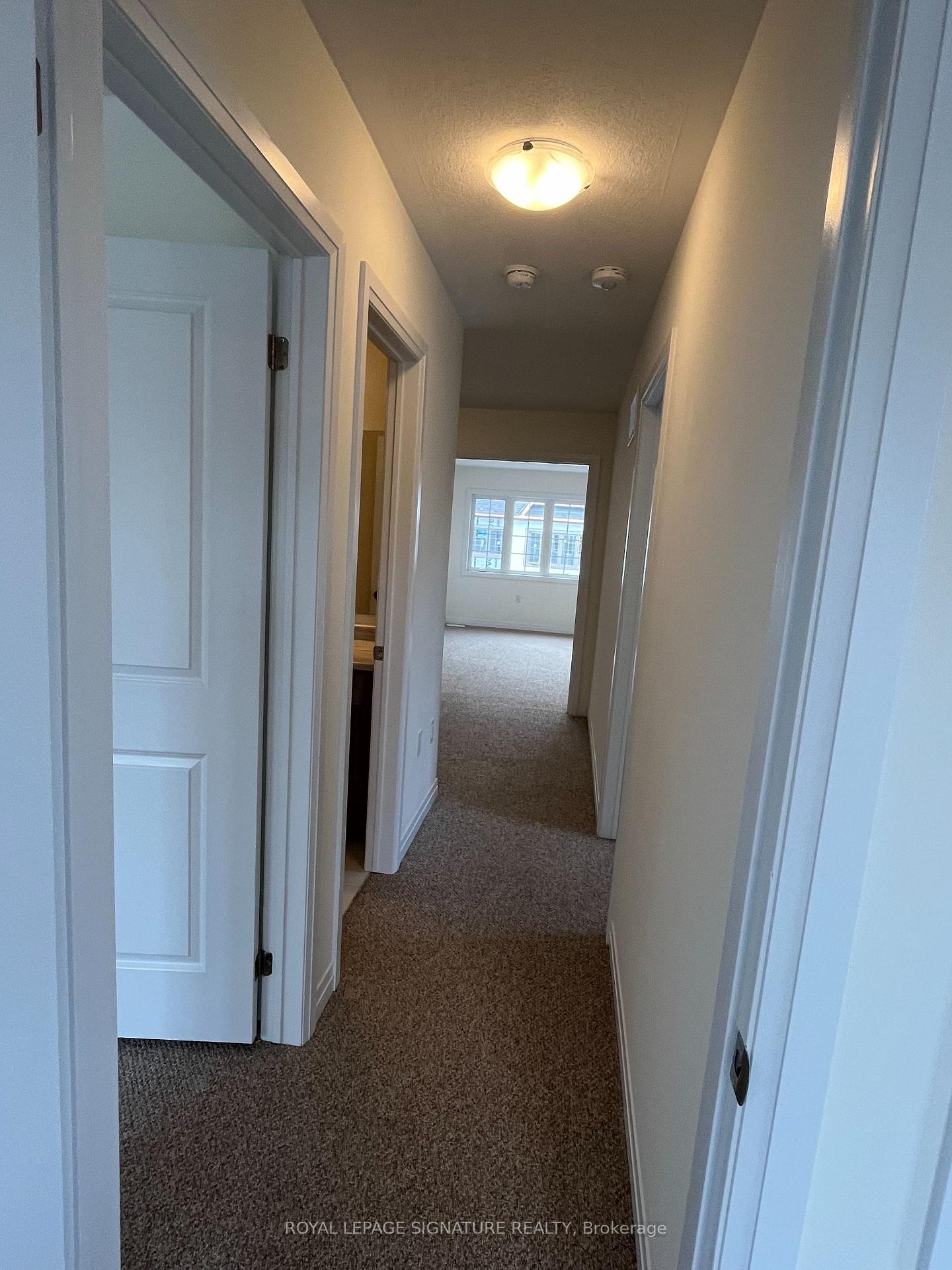 Photo 21 of 446 Adelaide Street, Wellington North, Arthur — HOMEH