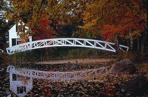 Photo 50 of 186 Carlton Road, Markham, Unionville — HOMEH