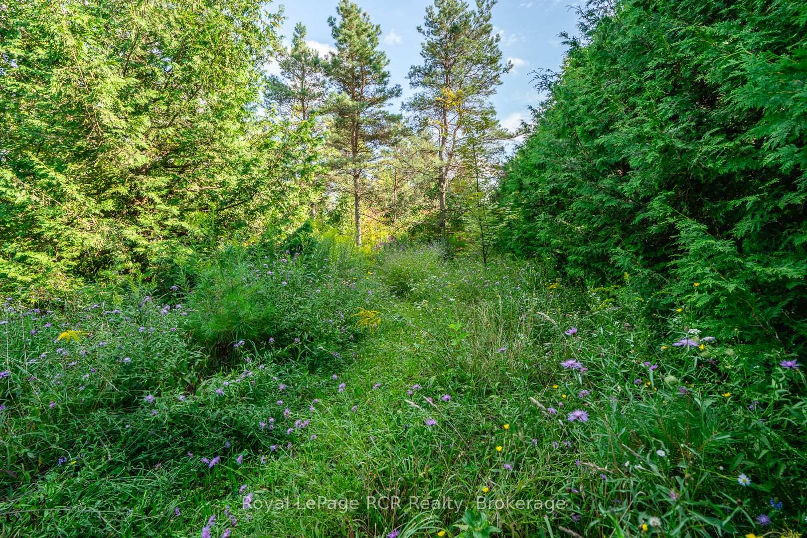 Photo 47 of 323199 Durham Road E, West Grey — HOMEH
