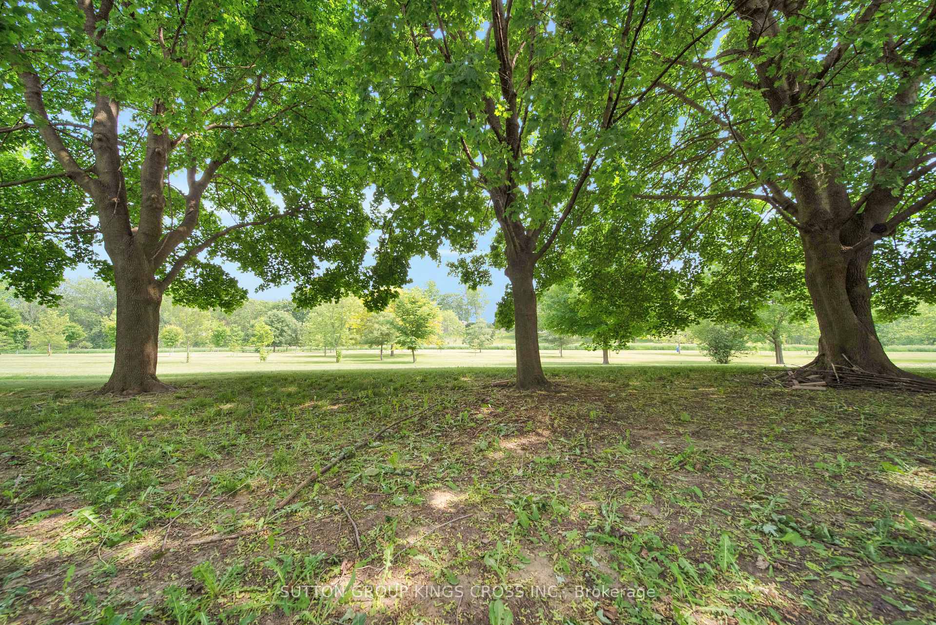 Photo 5 of 34 Hillcrest Avenue, Chatham-Kent — HOMEH