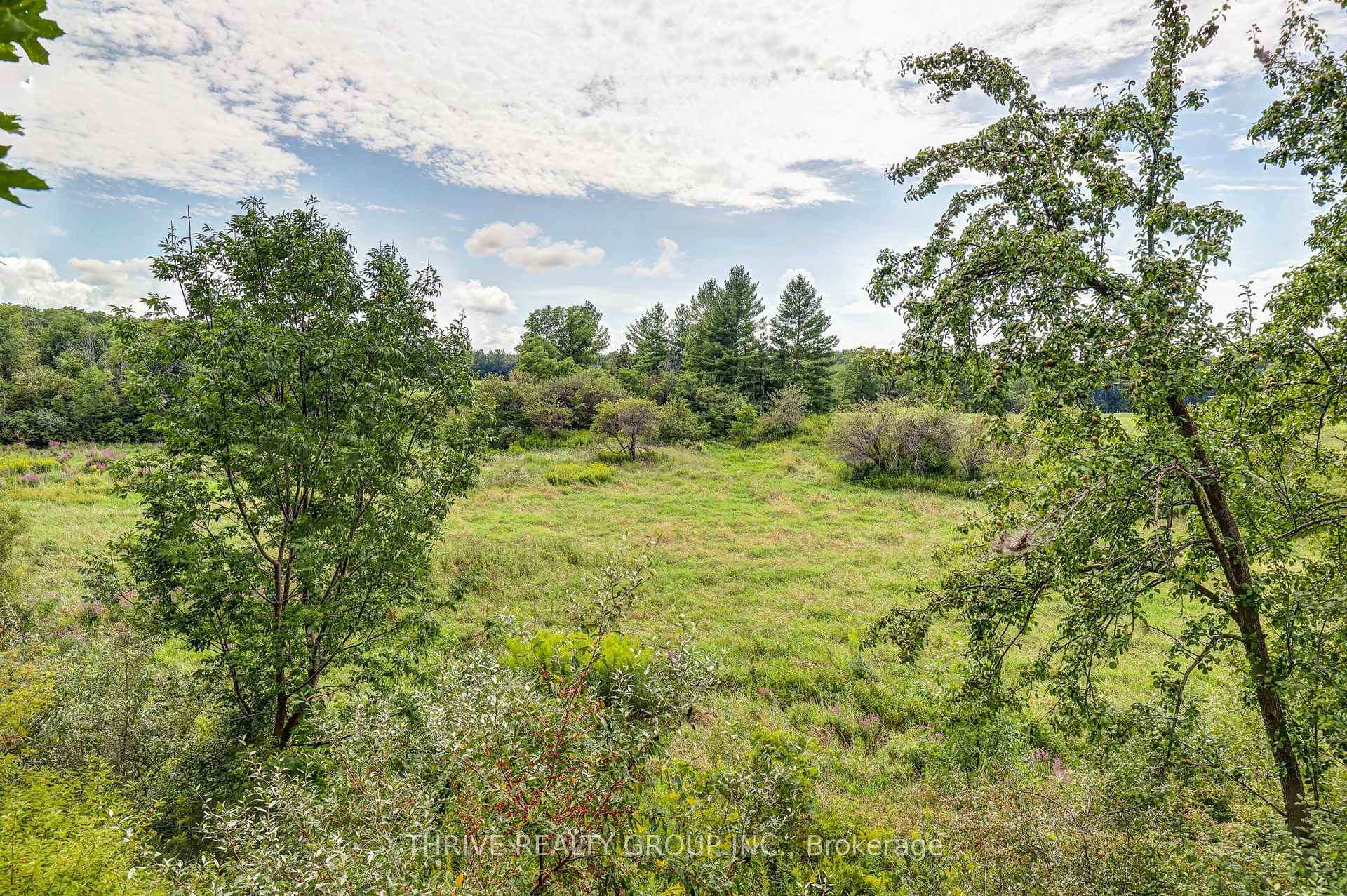 Photo 50 of 21217 Thames Road, Southwest Middlesex, Rural Southwest Middlesex — HOMEH