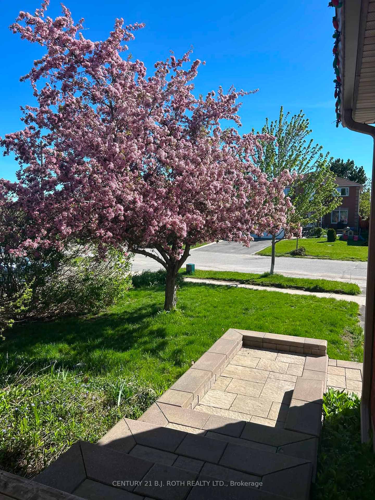 Photo 36 of 42 Farmstead Crescent, Barrie, Holly — HOMEH