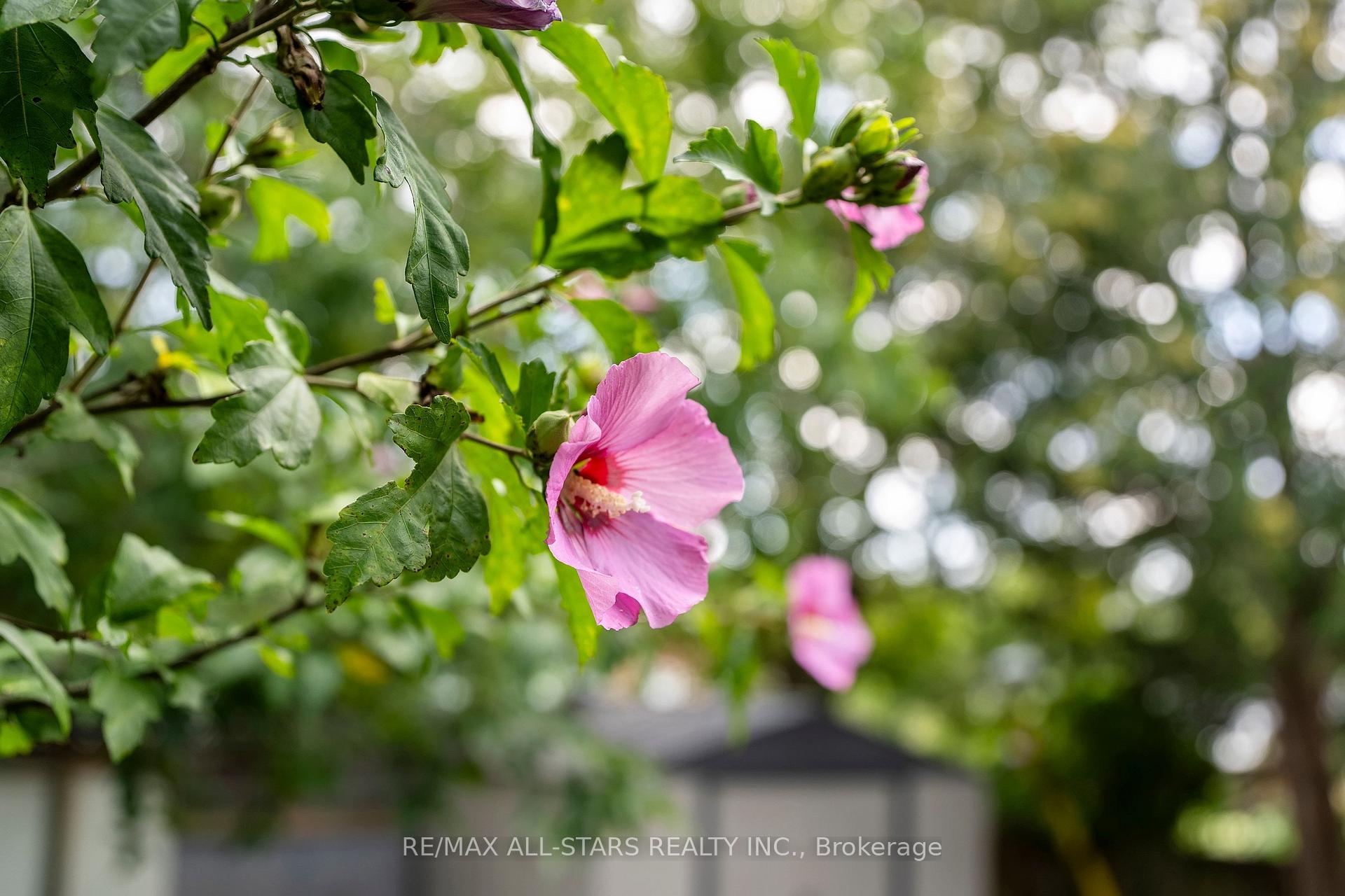 Photo 55 of 11 Penzance Drive, Scarborough, Bendale — HOMEH