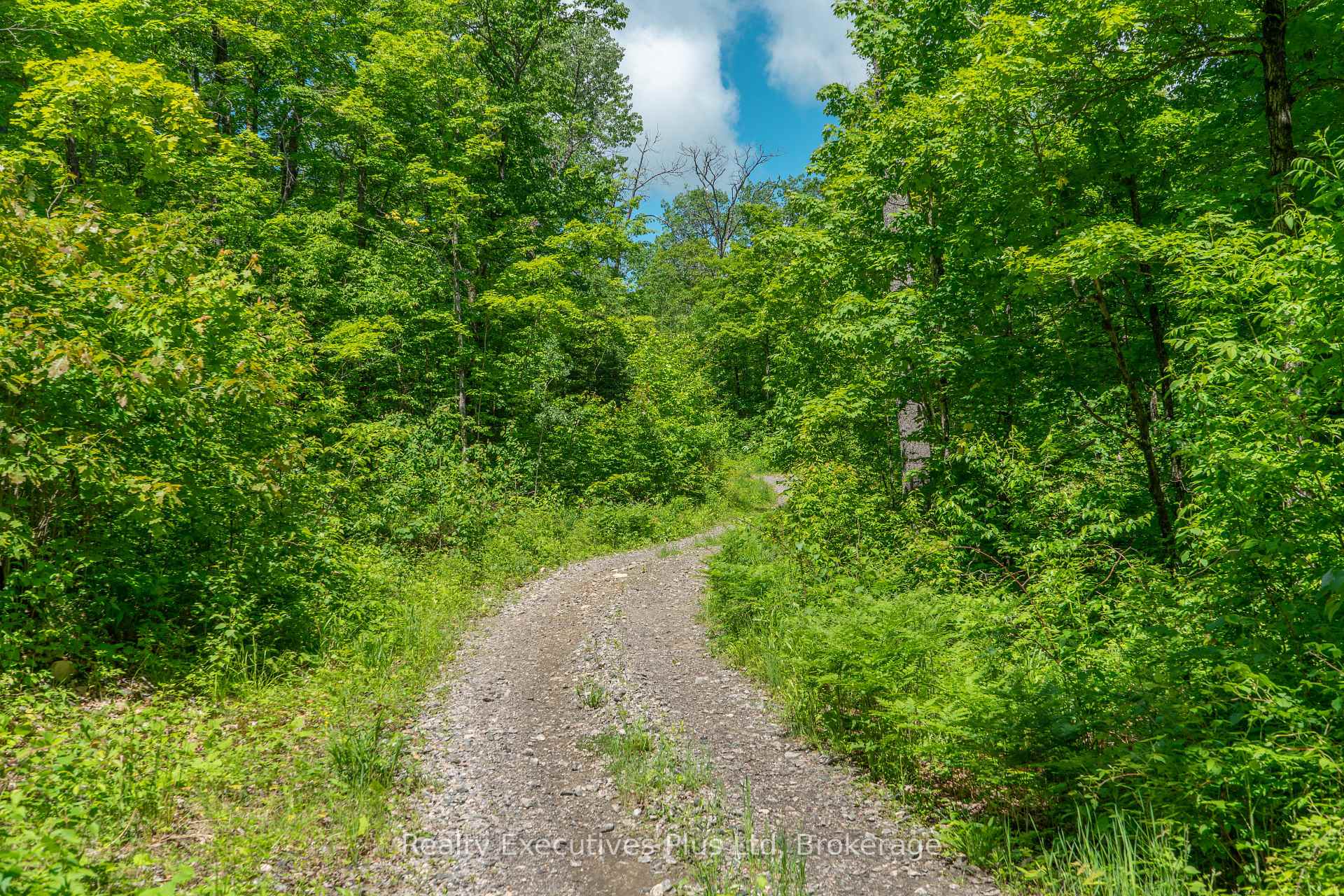 Photo 8 of 85 ladds Road, Whitestone — HOMEH
