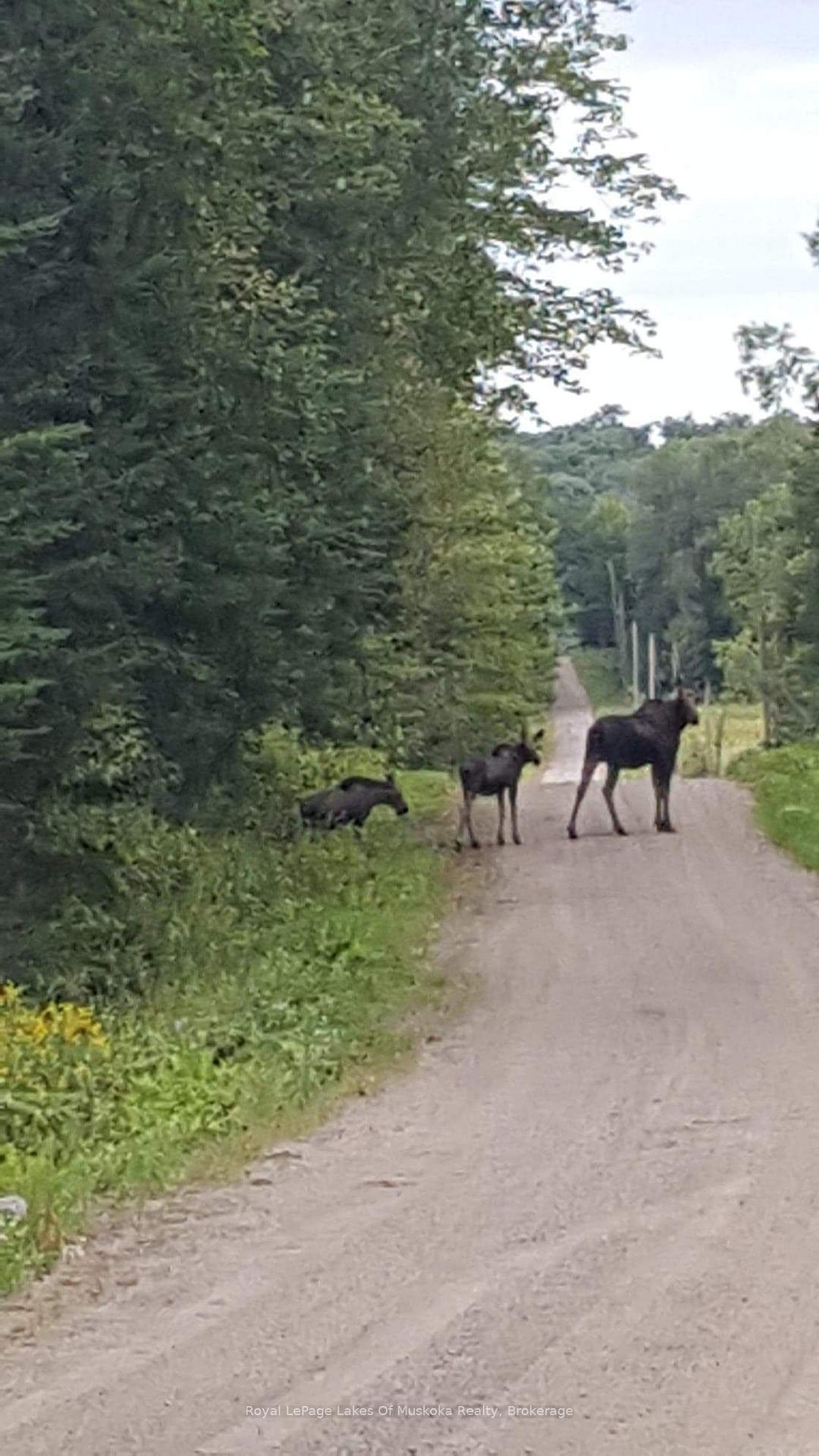 Photo 34 of 264 Boy Scouts Road, Armour — HOMEH