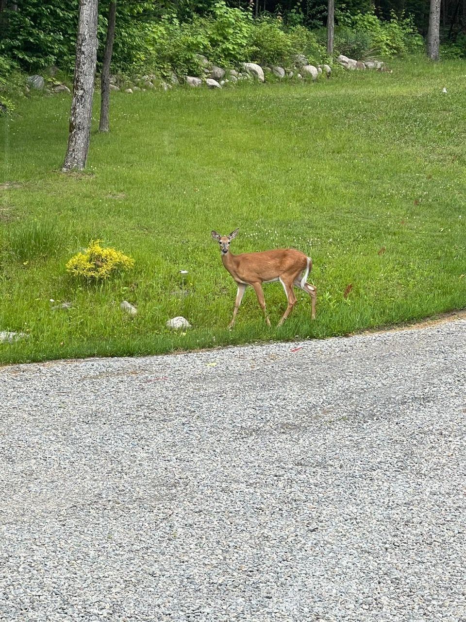 Photo 36 of 264 Boy Scouts Road, Armour — HOMEH