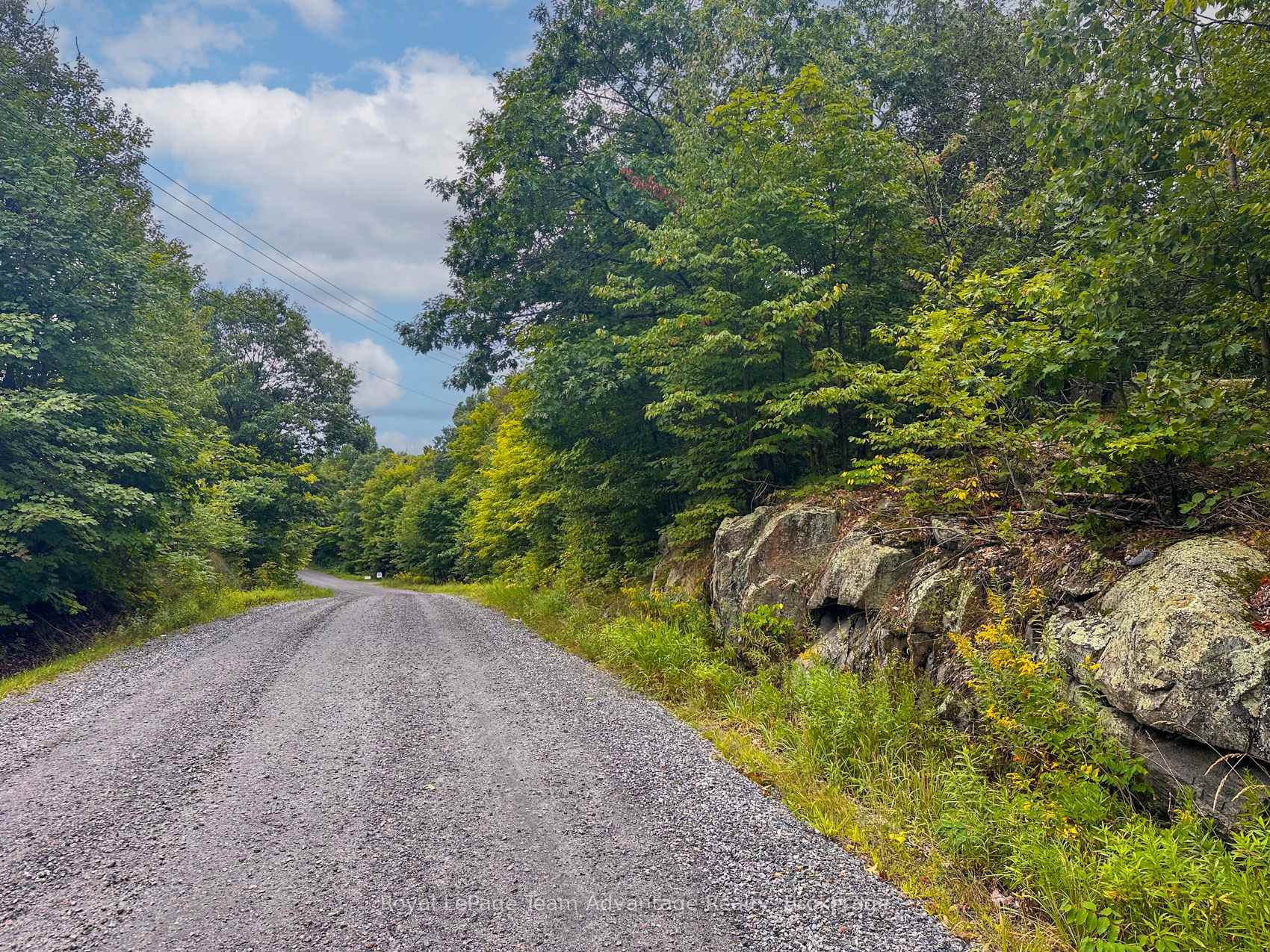 Photo 6 of Spring Hill Road, McKellar — HOMEH
