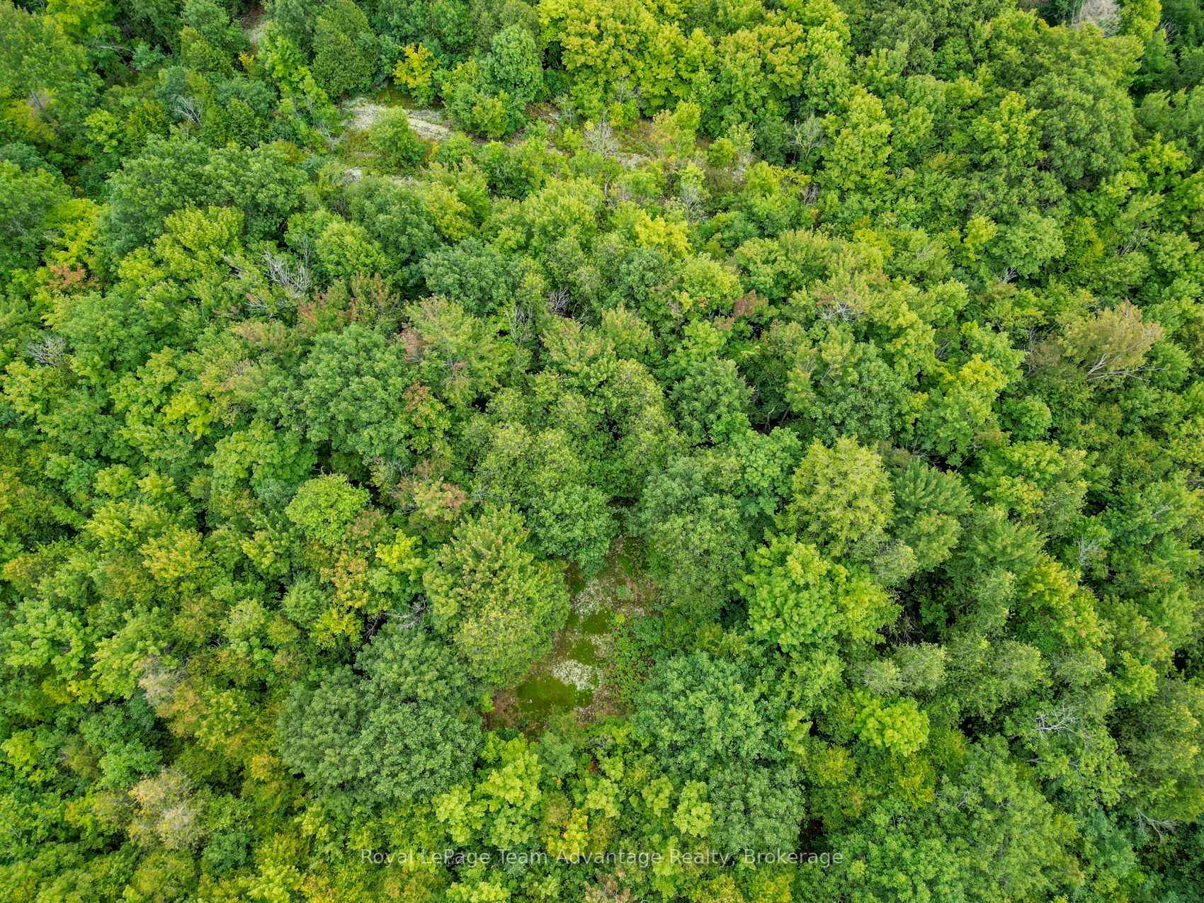 Photo 16 of Spring Hill Road, McKellar — HOMEH