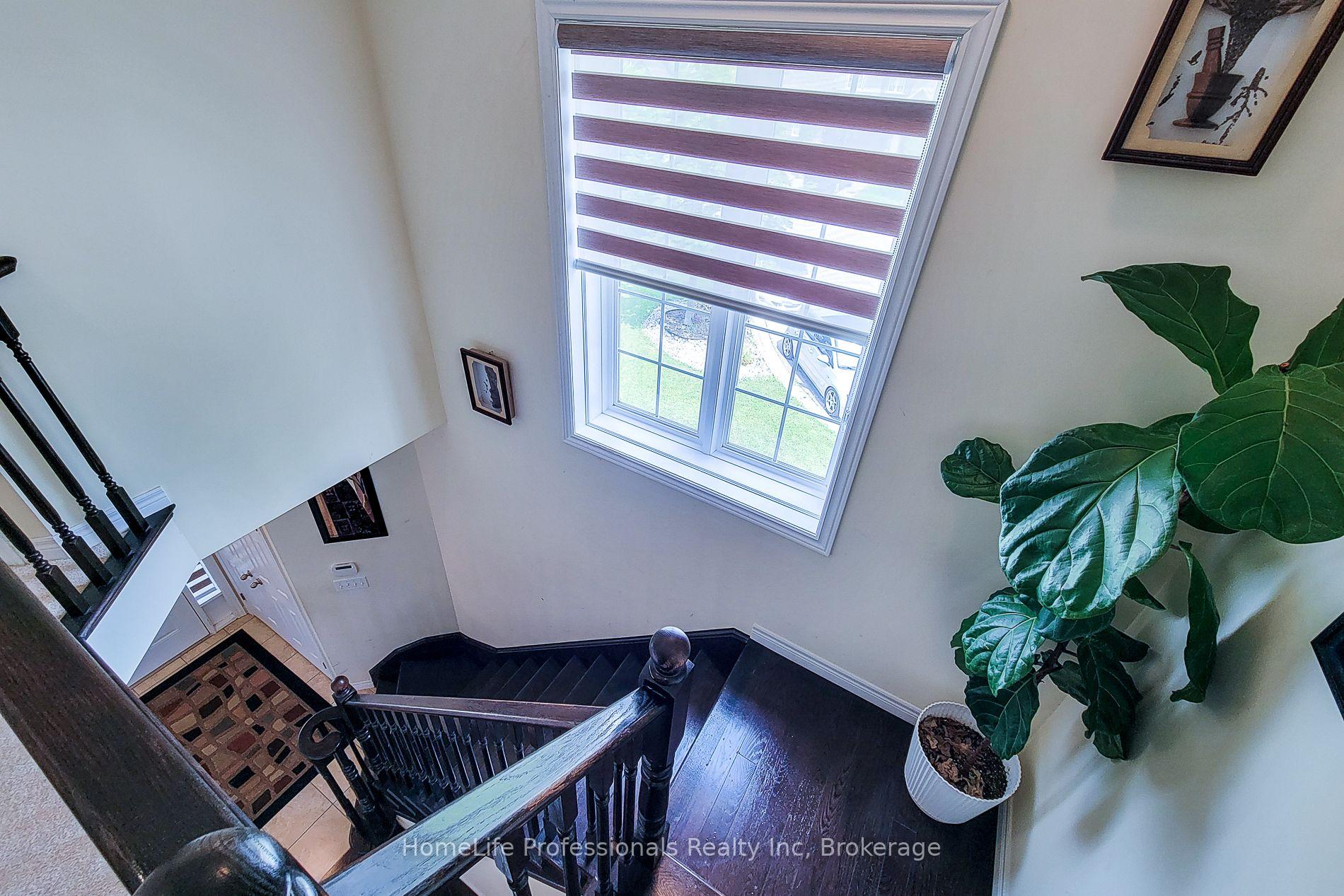 Photo 36 of 5 Medici Lane, Hamilton, Carpenter — HOMEH