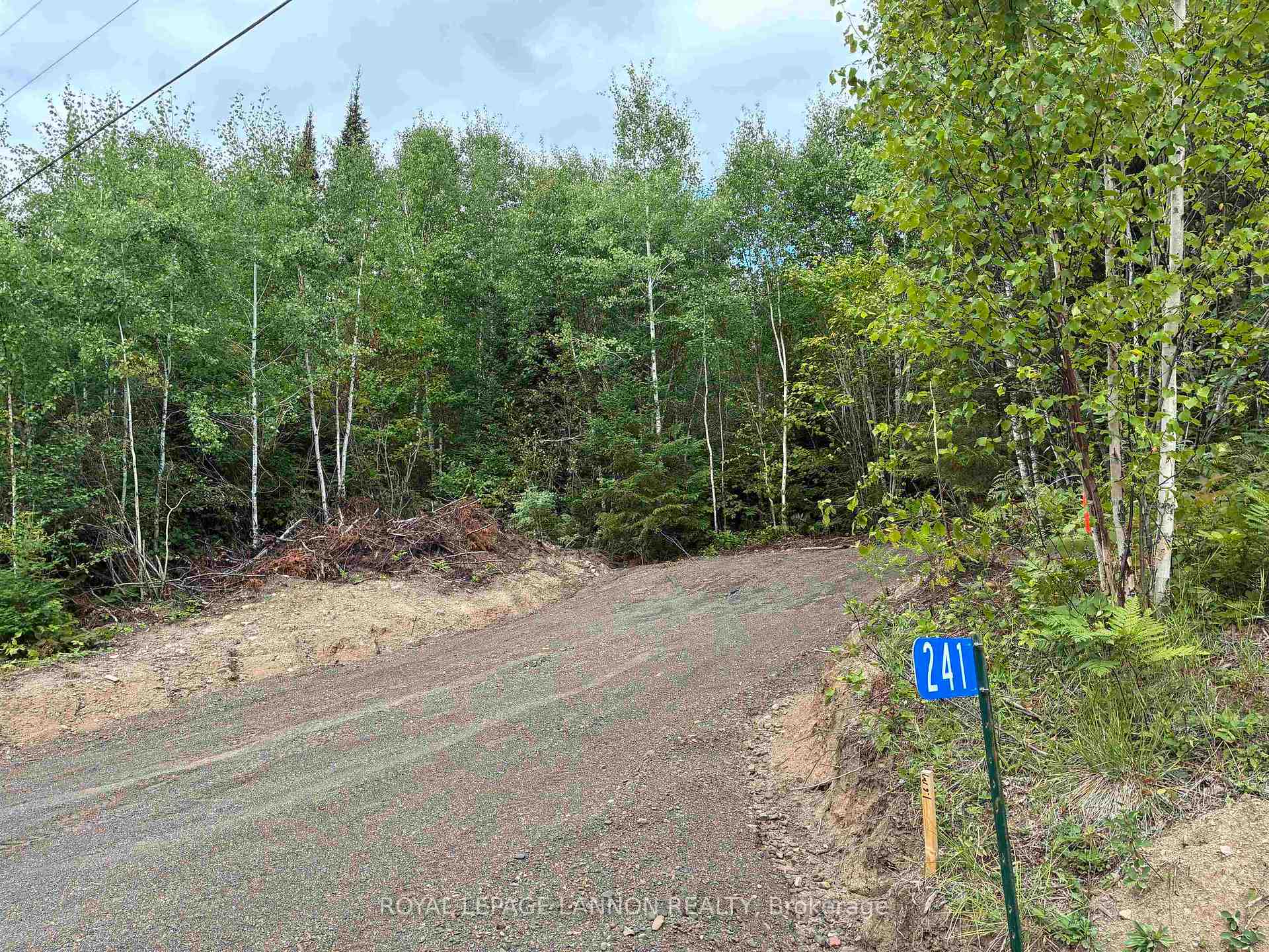 Photo of 241 Cloud Lake Road