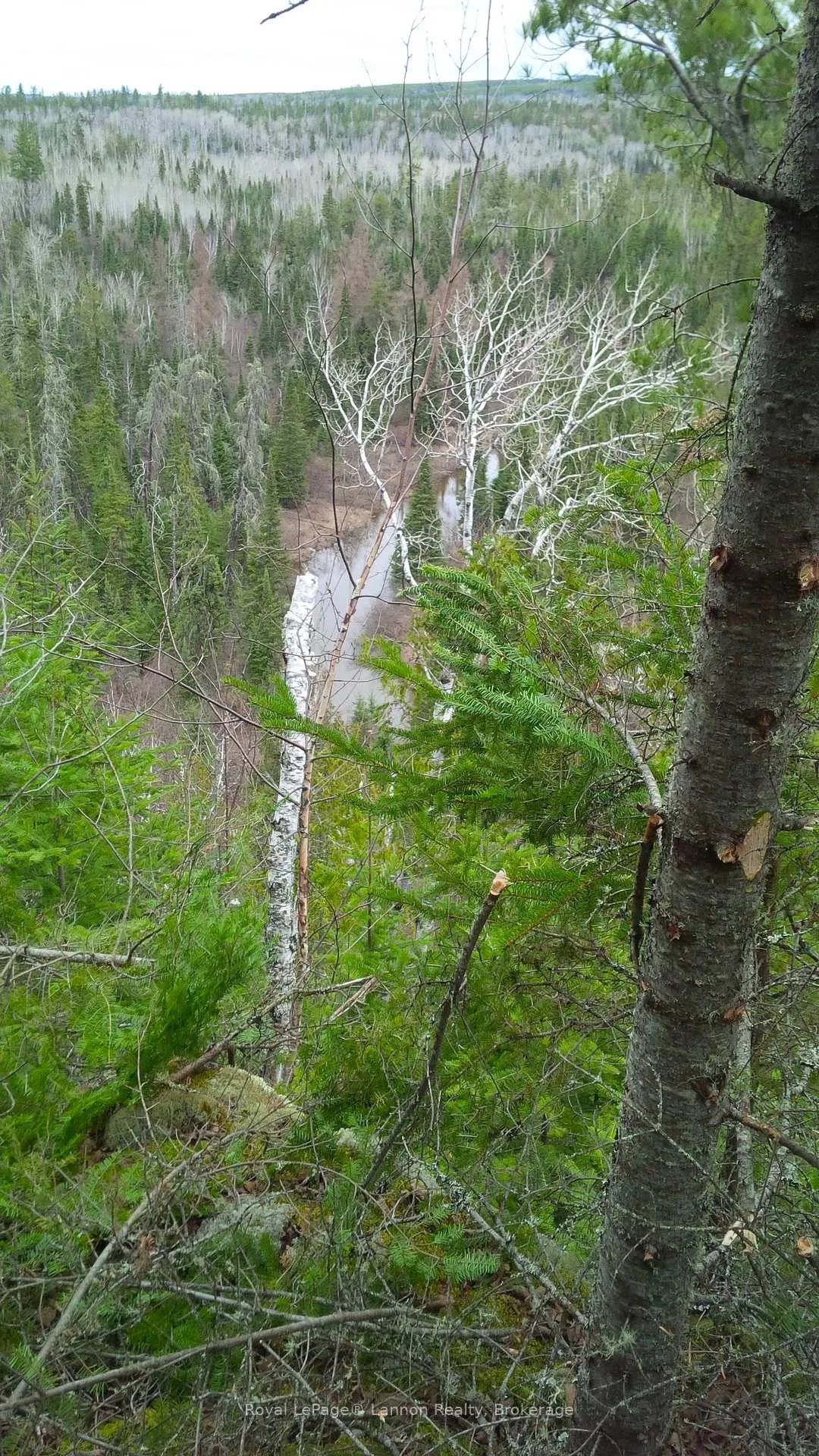Photo 51 of Lot 40 Road 4 N, 24, TB-58 — HOMEH