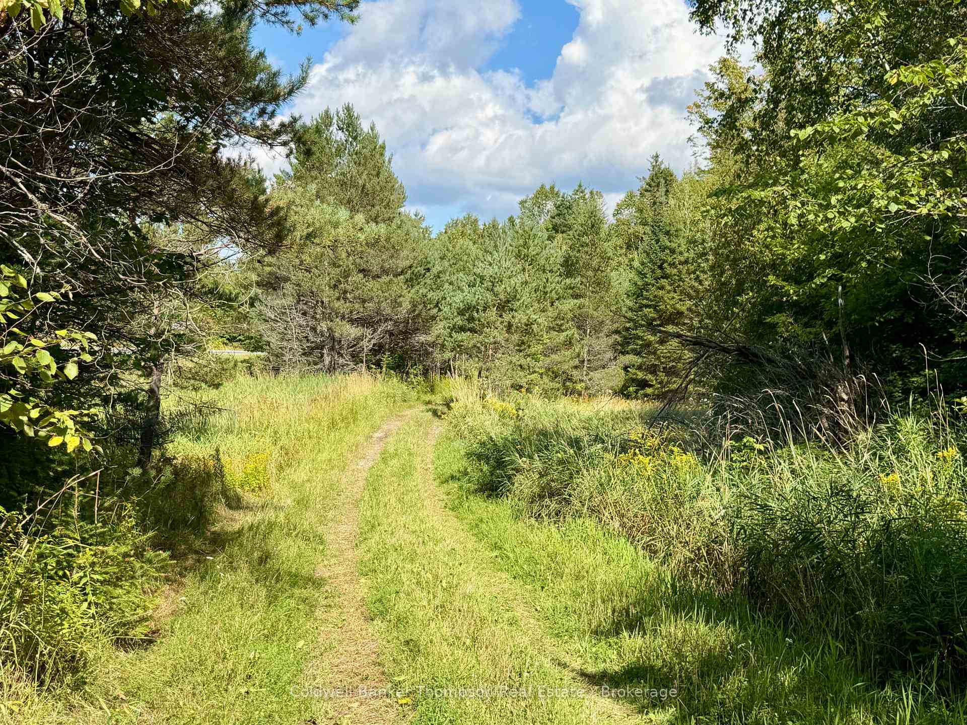 Photo of Lot 13 Hwy 522 W