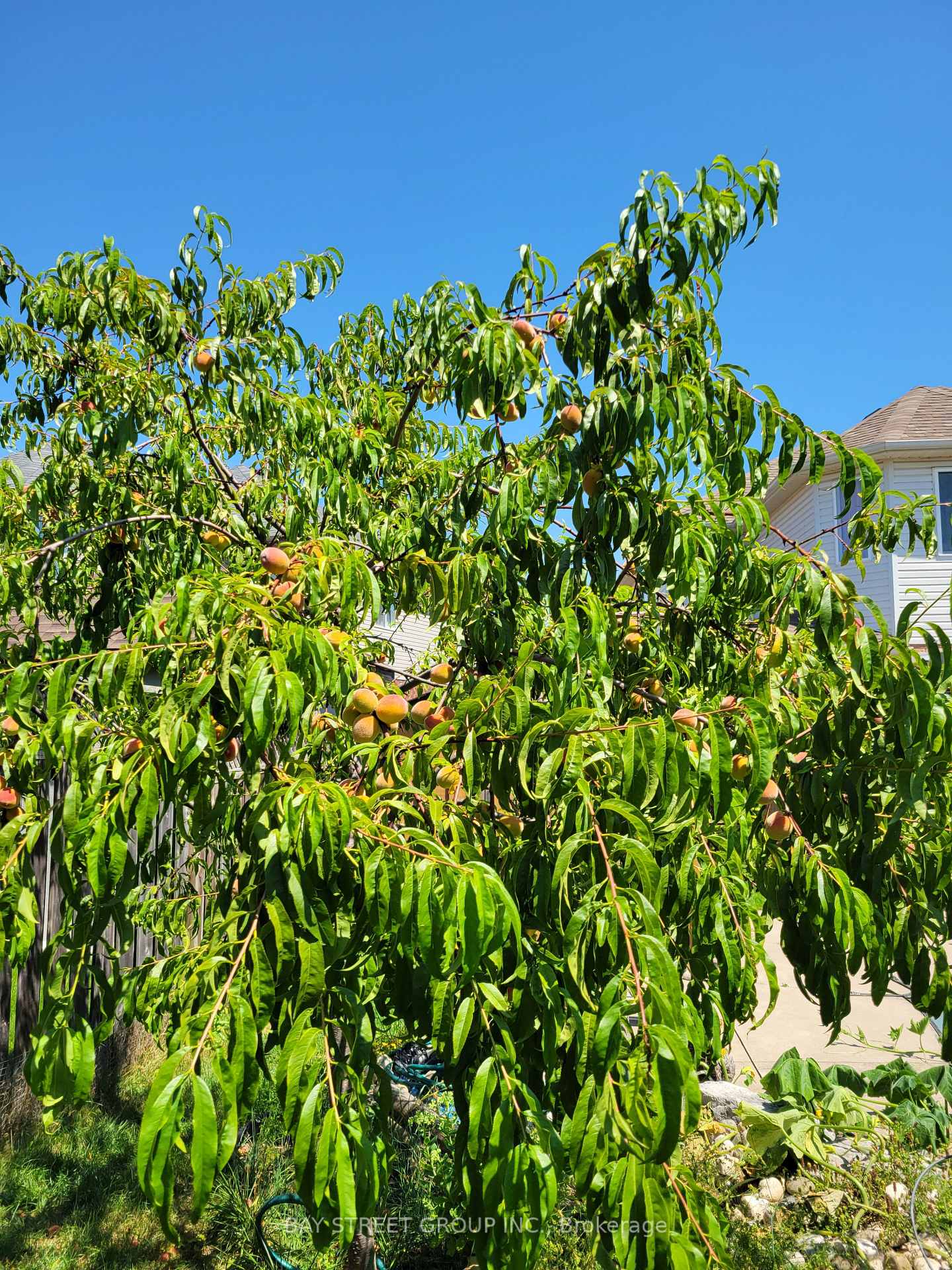 Photo 64 of 63 Dubrick Crescent, Kitchener, Larentian West — HOMEH
