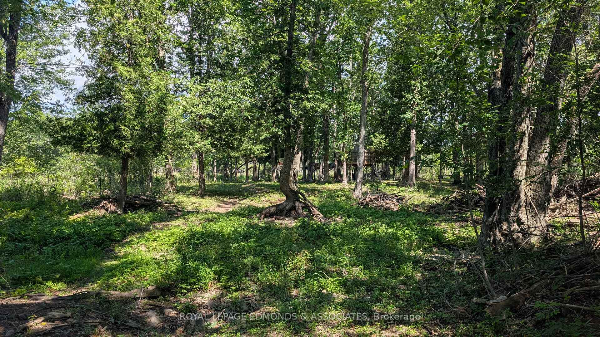 Photo 14 of 1 Morris Island, Laurentian Valley, Laurentian Valley — HOMEH
