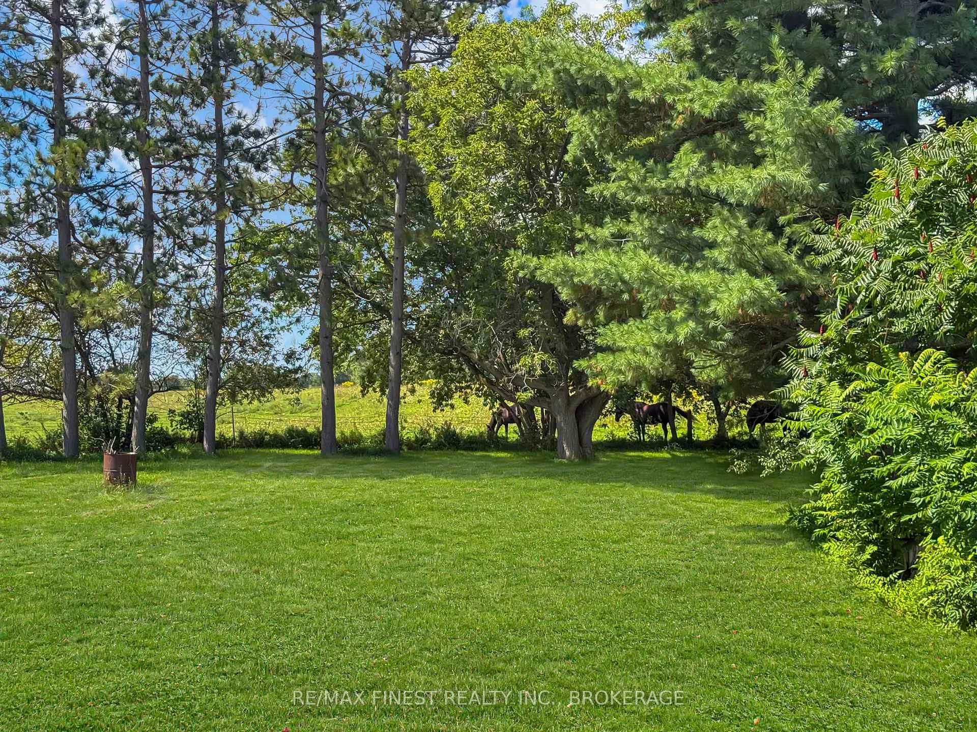 Photo 30 of 9859 County Rd 42, Westport, Westport — HOMEH