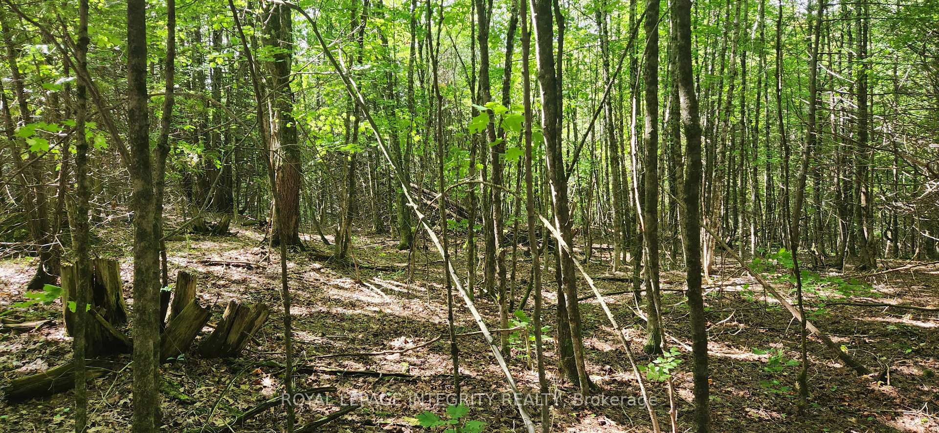Photo 6 of 290 Wardens Road, Lanark Highlands, Lanark Highlands (Darling) Twp — HOMEH
