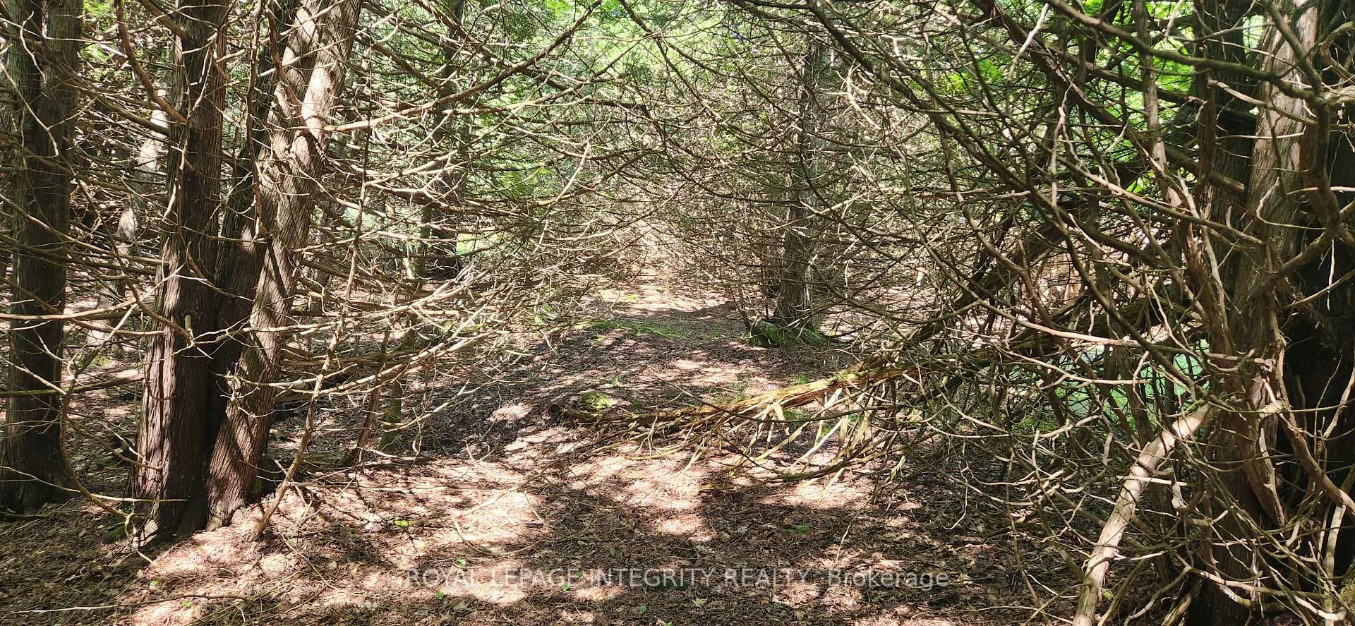 Photo 3 of 290 Wardens Road, Lanark Highlands, Lanark Highlands (Darling) Twp — HOMEH