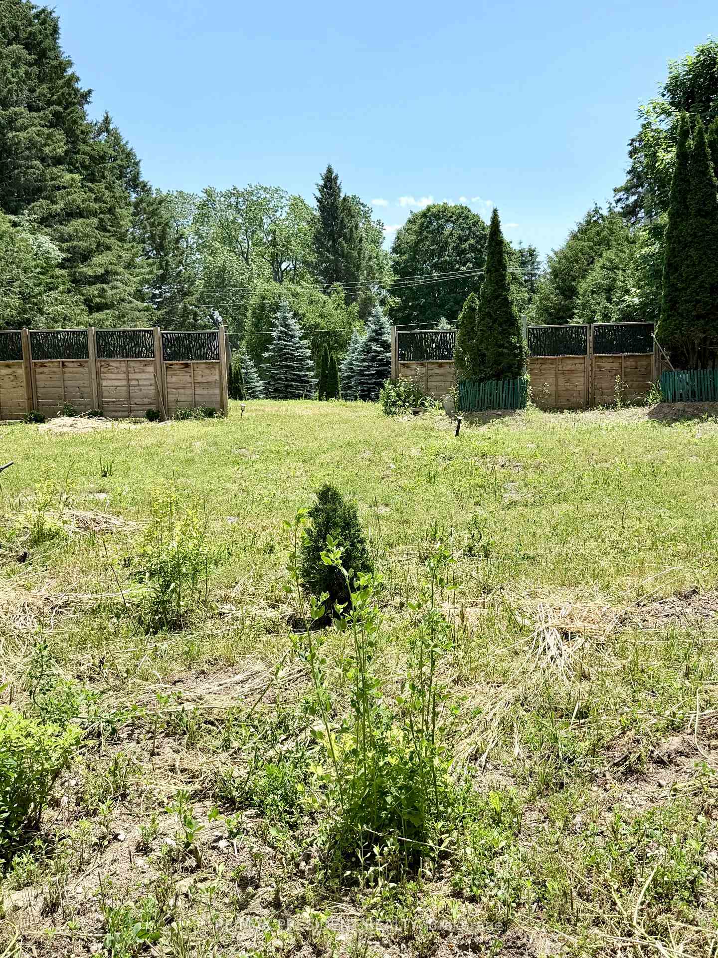 Photo 10 of 126 Mill Street, Cramahe, Castleton — HOMEH