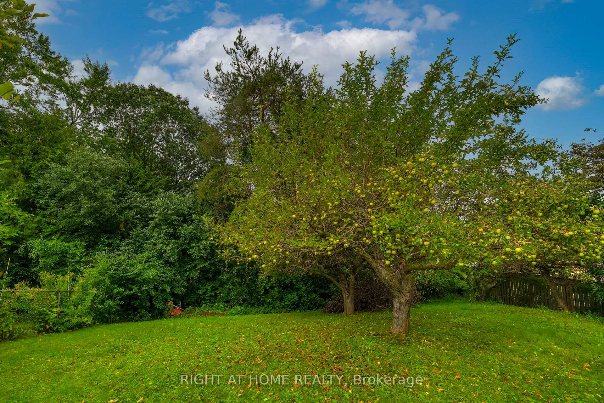 Photo 40 of 236 Shaughnessy Boulevard, North York, Don Valley Village — HOMEH