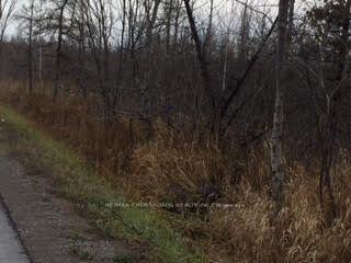 Photo 5 of Lot#10 Mccowan Road, Georgina, Baldwin — HOMEH