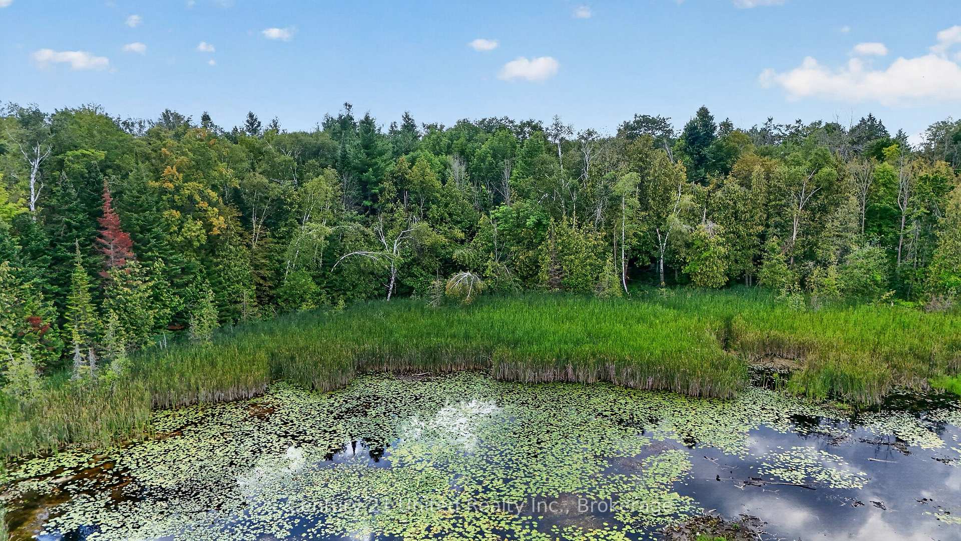 Photo 47 of 2619 Buckhorn Road, Selwyn — HOMEH