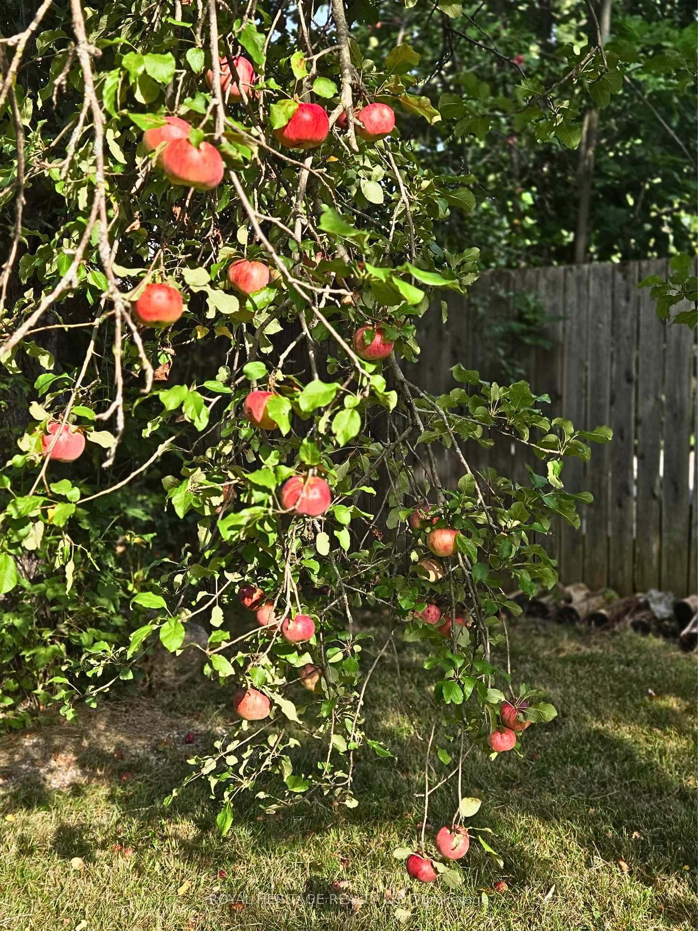 Photo 37 of 13 Richmond Street E, Kawartha Lakes, Bexley — HOMEH